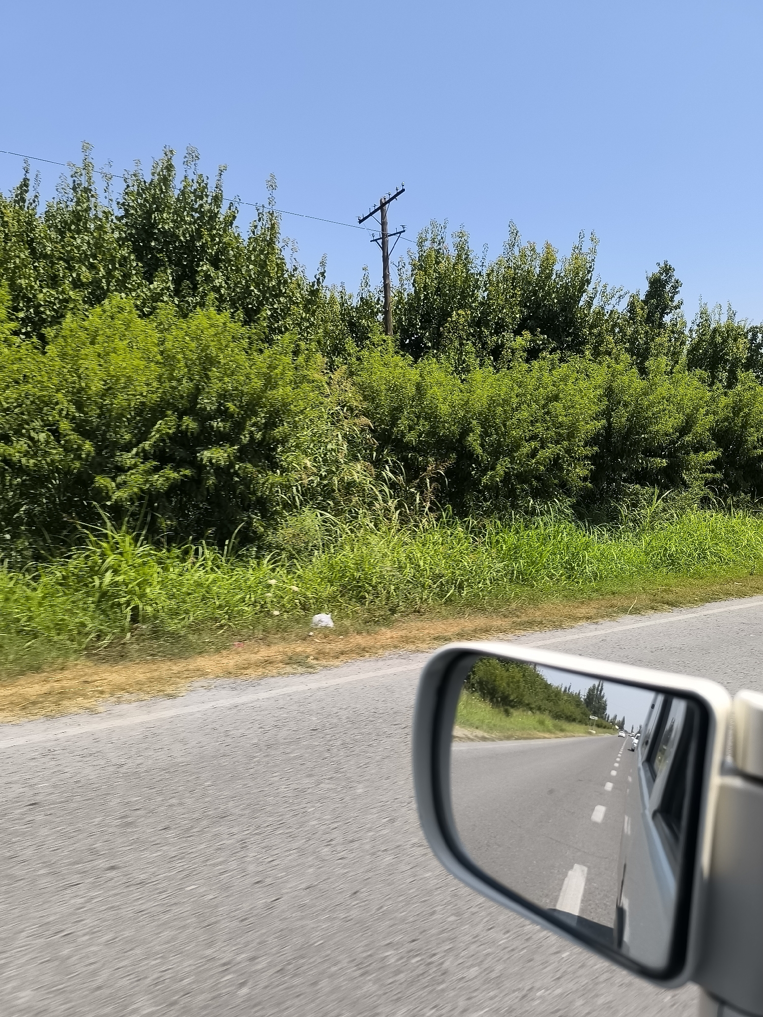 A side-view mirror of a vehicle reflects a road with a few cars. The scene shows a bright, sunny day. Outside the mirror, the vehicle is on a paved road with green trees and vegetation lining the side. A utility pole with wires is visible in the distance. The location is identified as Rajabgardy, Uzbekistan.