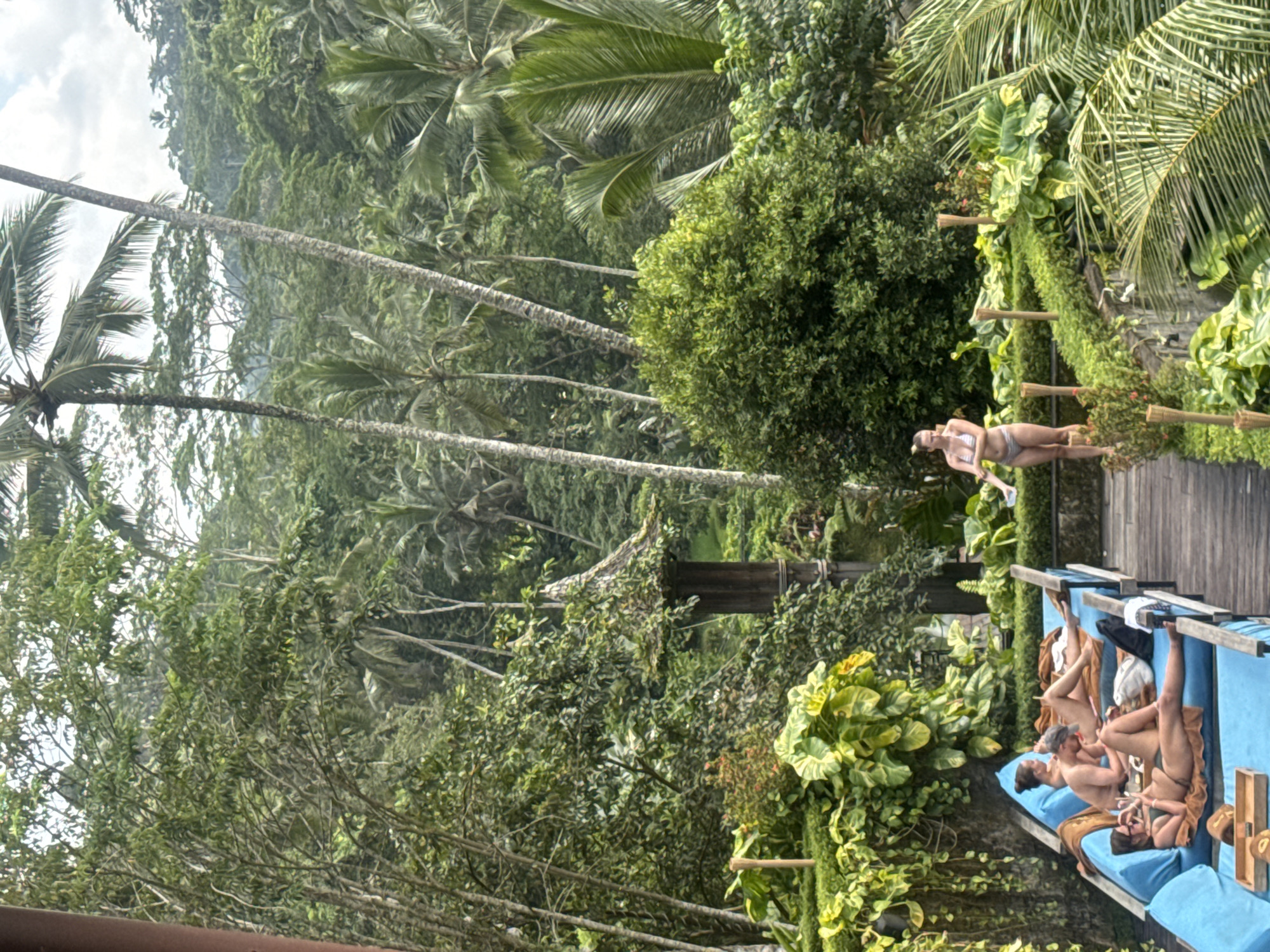 This image depicts a lush, tropical resort setting, likely in Tegallalang, Indonesia, characterized by dense jungle foliage and towering palm trees. The scene is dominated by vibrant green vegetation that extends throughout the background and mid-ground, creating a feeling of immersion in nature.
In the foreground and mid-ground, a wooden deck or pathway runs horizontally across the frame. On this pathway, a woman in a light-colored bikini is standing, her body slightly angled, suggesting she is either walking or pausing to take in the surroundings. Her presence indicates a leisurely activity within the resort.
Adjacent to the pathway, on the wooden deck, several individuals are seen relaxing on blue sunbeds. At least three people are visible, lying in various reclined positions, presumably sunbathing or resting by a pool (though the water itself is not explicitly shown). They are dressed in swimwear, reinforcing the resort and leisure theme.
The time of day appears to be daytime, with bright, natural lighting and a partly cloudy sky visible through the tree canopy. The overall mood is one of relaxation and tranquility, set against the backdrop of a rich, biodiverse environment. There is no visible text in the image.