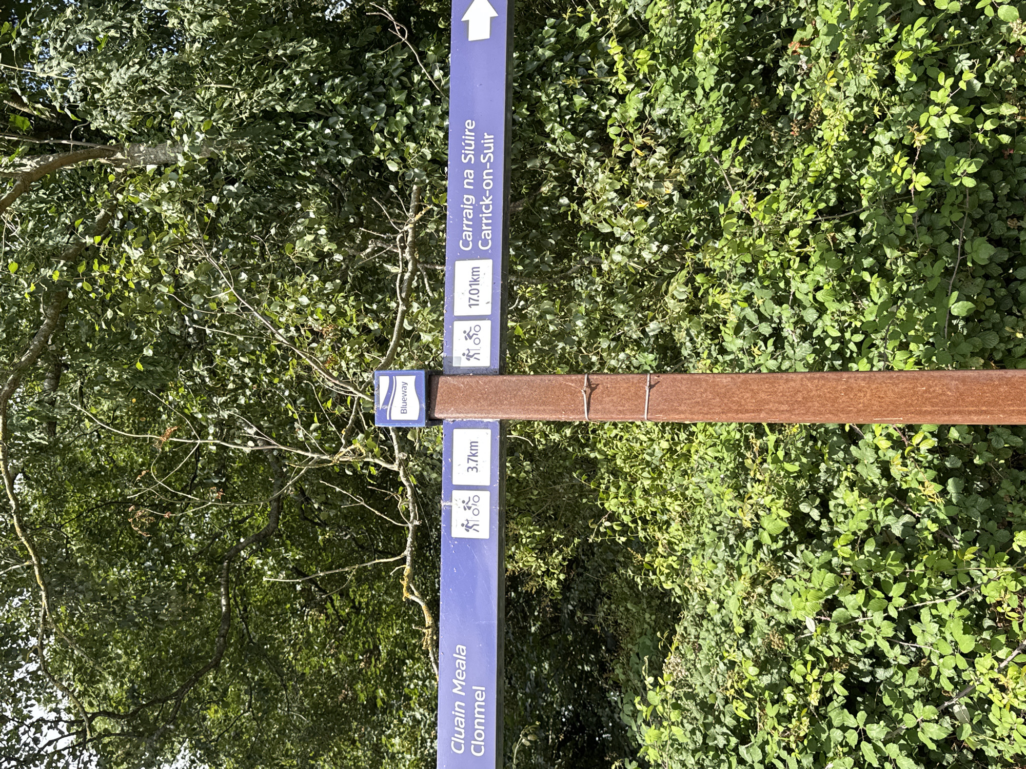 The image shows a weathered brown signpost with two directional signs. The top sign, pointing left, reads "Blueway" in white text on a blue background. Below this, another blue sign points left and reads "Cluain Meala Clonmel" with icons of a walker and a cyclist, followed by "3.7km". A second blue sign, pointing right, displays icons of a walker and a cyclist, followed by "17.01km" and then "Carraig na Siúire Carrick-on-Suir" with a white arrow indicating the direction. The signpost is surrounded by lush green foliage, including trees and bushes, suggesting an outdoor, possibly rural or parkland setting. The image is taken from a slightly upward angle.