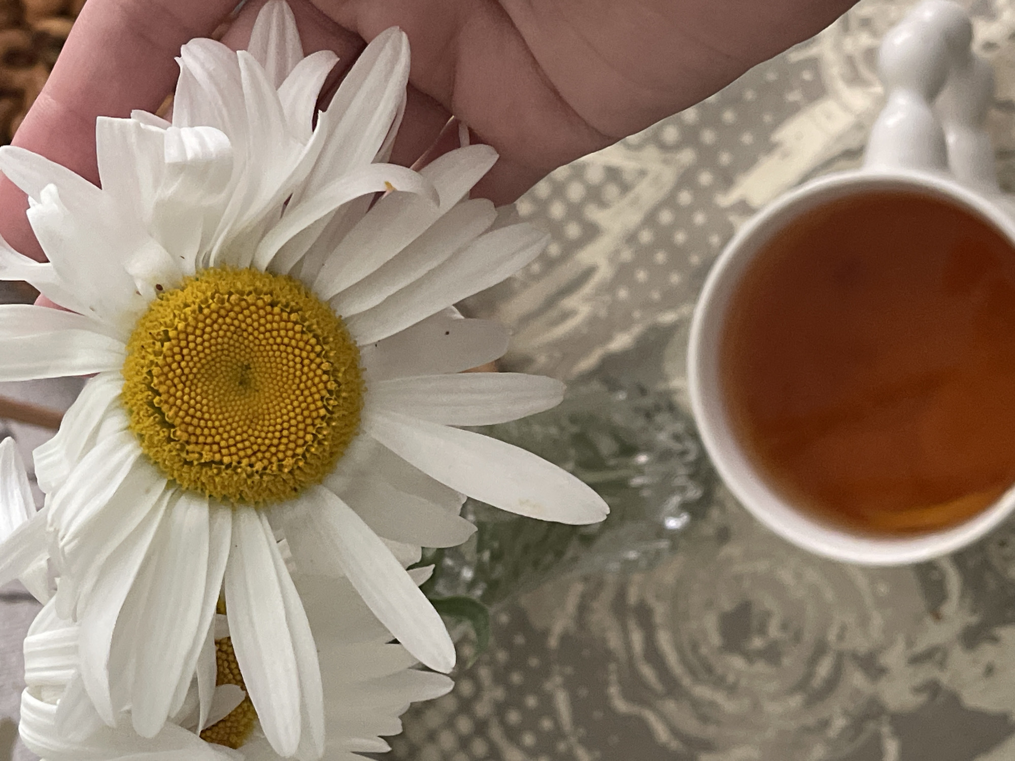 A close-up shot features a hand gently holding a large white daisy with a bright yellow center. The daisy's petals are layered and slightly curled. To the right, a white mug filled with amber-colored tea is visible. The mug has a unique, textured handle that resembles small, smooth pebbles. The background is a patterned surface, possibly a tablecloth, with a subtle grey and white design. The lighting suggests an indoor setting, perhaps during the day. The overall mood is calm and serene, evoking a sense of quiet enjoyment. No text is visible in the image. The provided location context is "Средний, Russia".