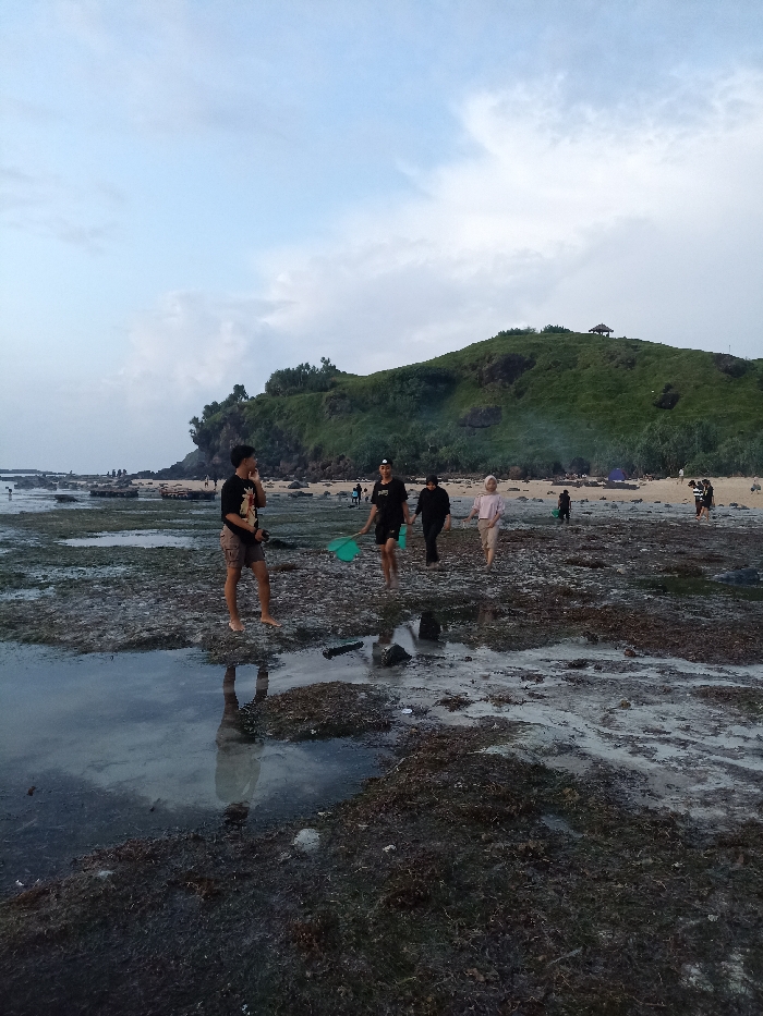 This image presents a coastal landscape, likely a tidal flat, under an overcast sky. The foreground is a vast expanse of dark, wet rock formations and patches of seaweed or algae, interspersed with shallow pools of water that reflect the sky.
Several individuals are present in the scene. Most prominently, a young man stands barefoot on the wet rocks in the left foreground, dressed in a black t-shirt with a graphic and khaki shorts, looking towards the left. His reflection is clearly visible in a large puddle beside him. Further back and to his right, a group of three people walks across the rocky surface. One person, wearing a black shirt, carries a light green net, suggesting they might be engaging in fishing or collecting marine life. The other two individuals walk alongside, one in dark clothing and another in light-colored attire.
In the mid-ground, the terrain transitions to sandy patches near the base of a large, lush green hill or cliff. More people are visible scattered across these sandy areas, some appearing to be near small tents or shelters. On the distant green hill, a small structure resembling a gazebo or hut can be seen.
The sky is cloudy, suggesting an overcast day or possibly late afternoon conditions, with diffused light and no strong shadows. The overall activity appears to be recreational, with people exploring the coastal environment. No visible text is present in the image. The setting appears to be a natural, rugged beach area, consistent with coastal landscapes in Pujut, Indonesia.