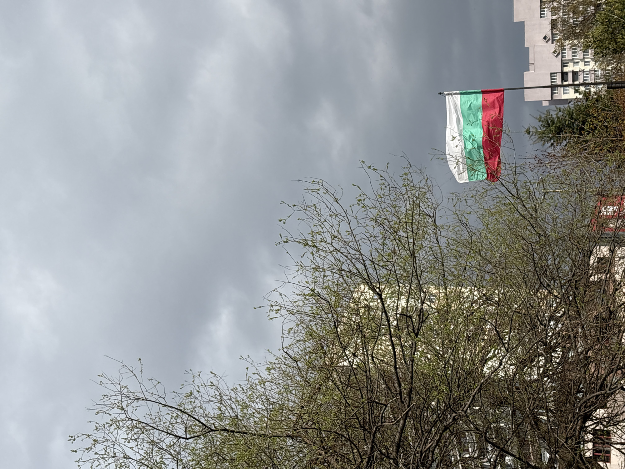 The image shows the Bulgarian flag hanging from a pole against an overcast sky. Bare trees with some budding leaves are in the foreground. A tall building is partially visible behind the flag and trees. Based on the flag, the location is most likely in Sofia, Bulgaria.