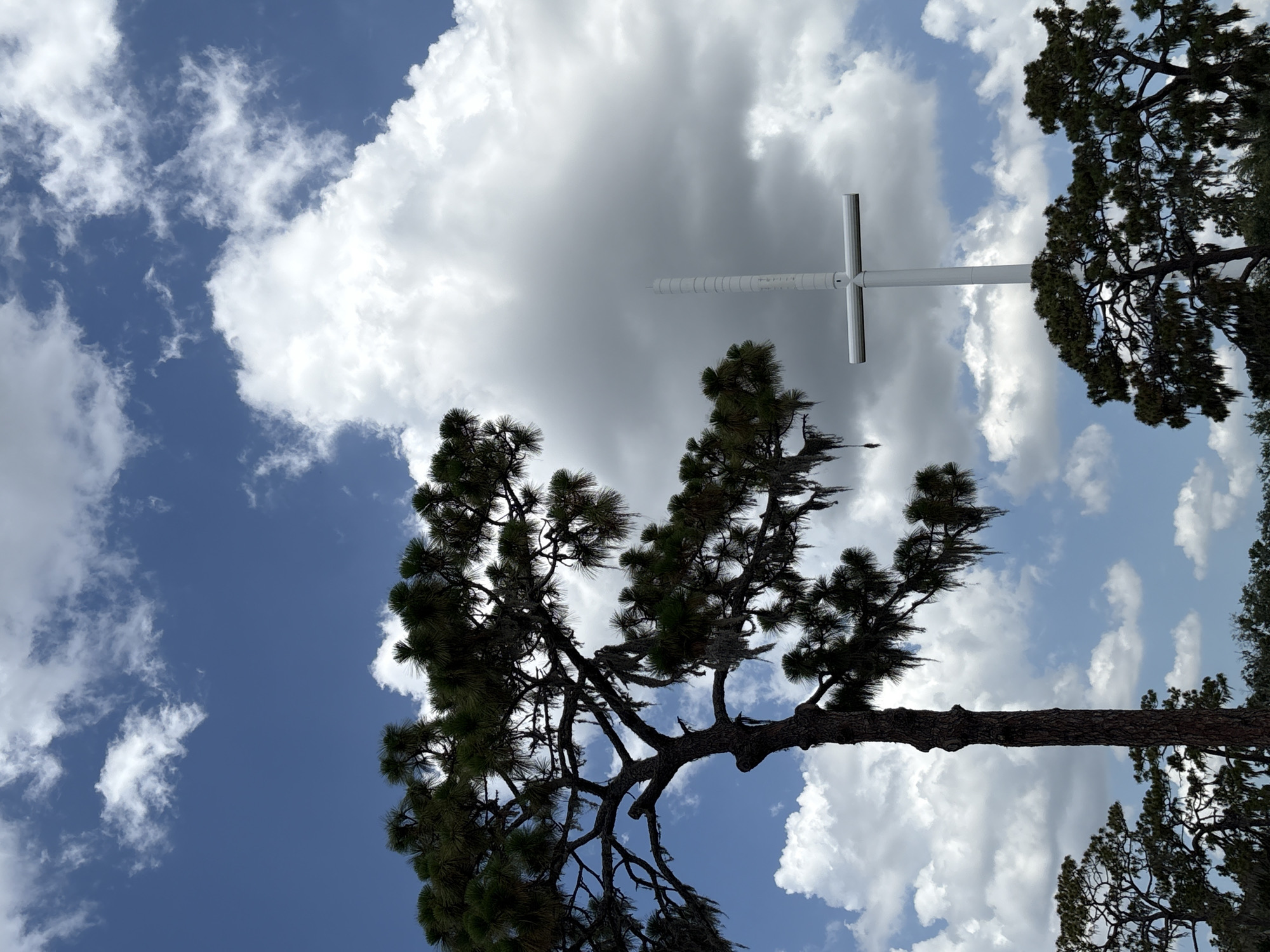 This media file is a photograph taken outdoors in Bradenton, United States. The image is oriented vertically, with the sky dominating the frame. Prominently featured is a large, white cross, possibly a monument or religious symbol, positioned against a backdrop of dramatic clouds. To the left and right, silhouetted against the bright sky, are the dark green branches of pine trees, their needles sharp and distinct. The clouds are a mix of bright white, fluffy cumulus formations and darker, more overcast areas, suggesting a dynamic and possibly changing weather pattern. The sun appears to be high in the sky, casting strong light and creating deep shadows, indicative of daytime. The overall mood is serene and possibly spiritual, with the natural elements of sky and trees framing the man-made cross. No people are visible in the image, and there is no visible text. The scene is set outdoors, likely in a location where such a monument would be erected, possibly a park, church grounds, or a roadside attraction.