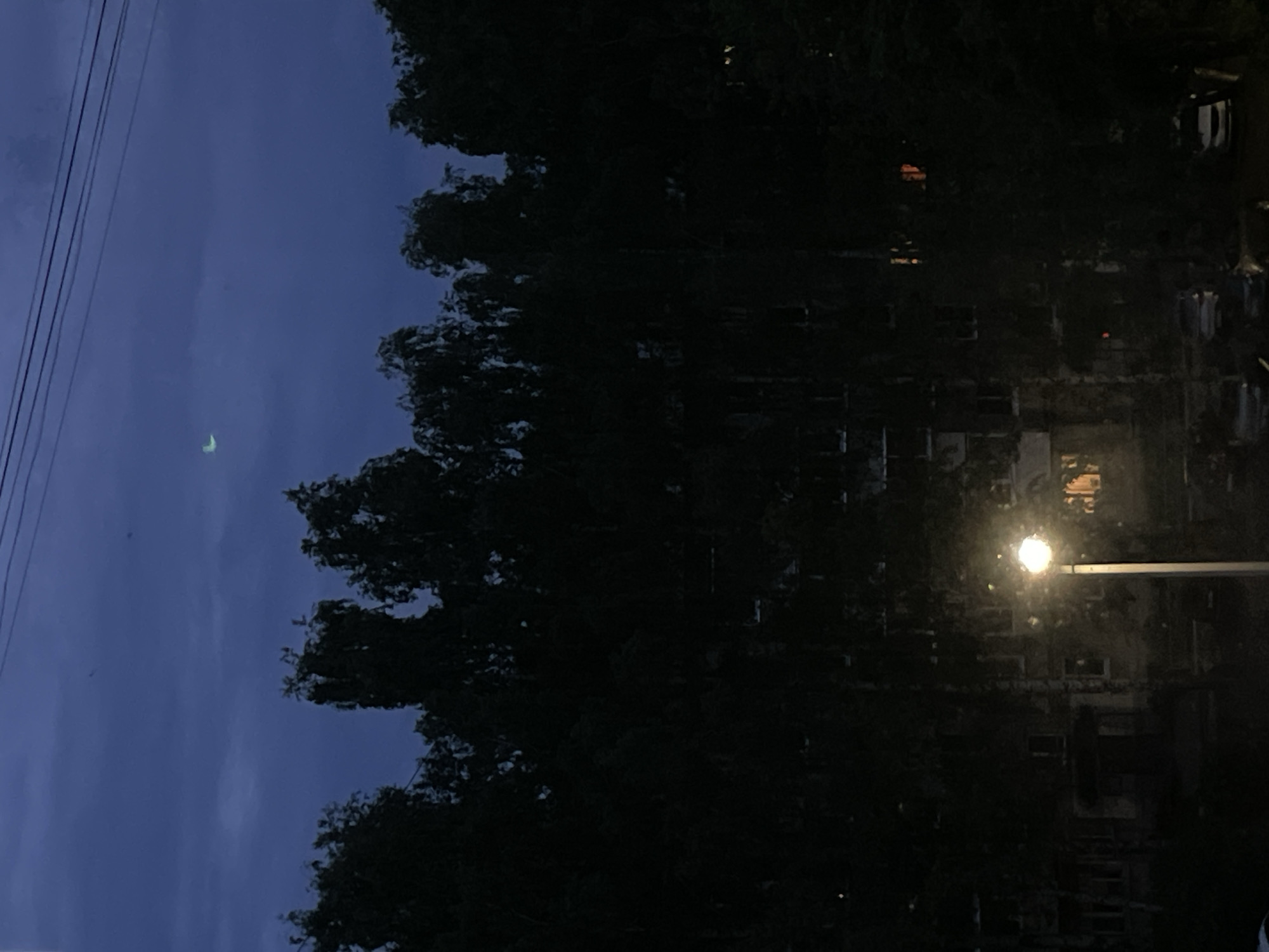 A vertical nighttime view shows a crescent moon in the upper left, power lines on the left, and dark trees filling much of the frame. A street light illuminates a building with windows visible through the trees. Some parked cars can be seen in the far background on the right.