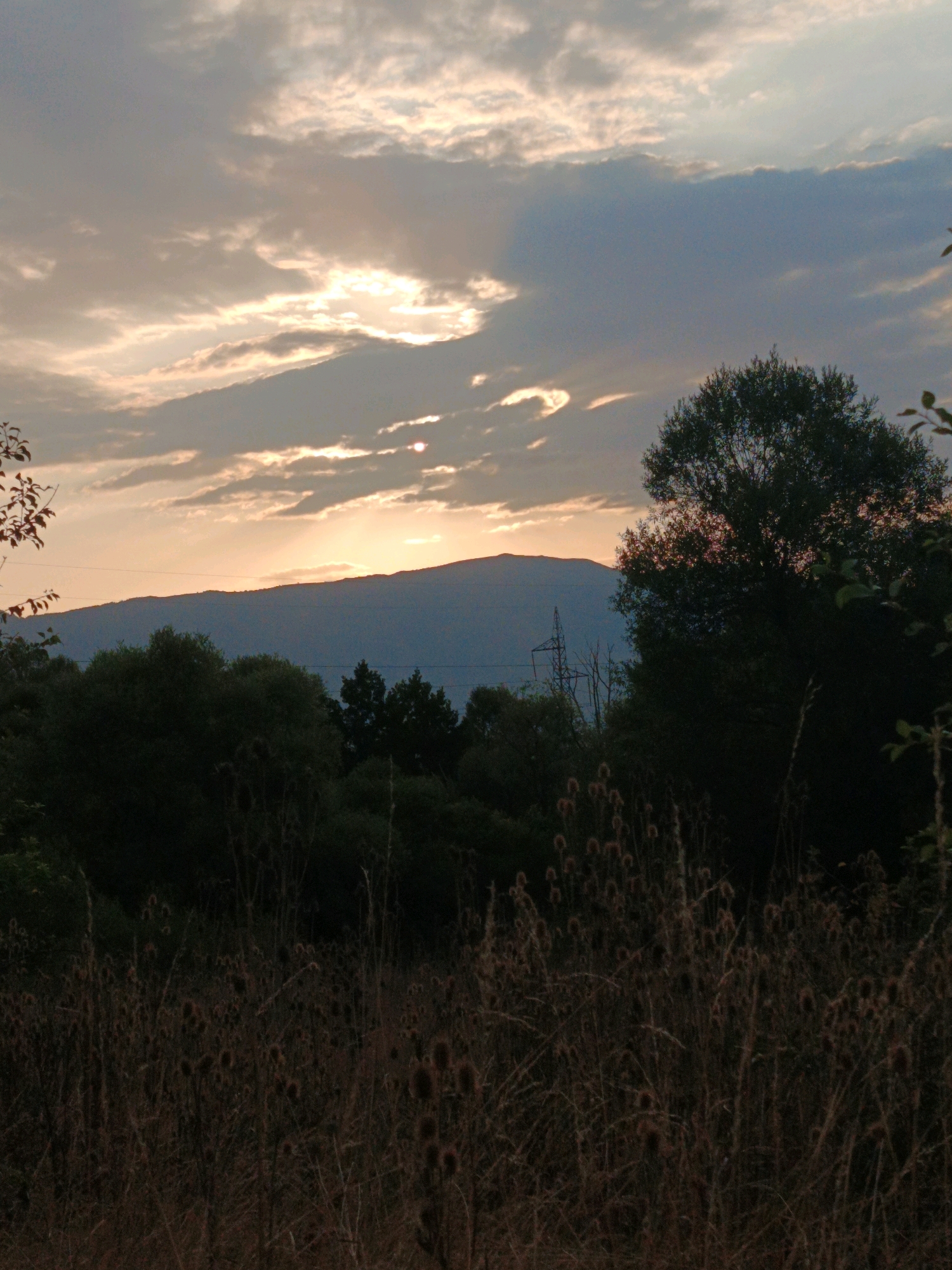 The image depicts a sunset over a rural landscape in Kralev Dol, Bulgaria. The sky is filled with clouds illuminated by the setting sun, casting a warm glow. A silhouette of a mountain range forms the horizon. In the foreground, a dense area of dry, thorny vegetation, possibly thistles, is visible. Dark silhouettes of trees and a power line pylon are scattered throughout the scene. The overall atmosphere is tranquil and natural.