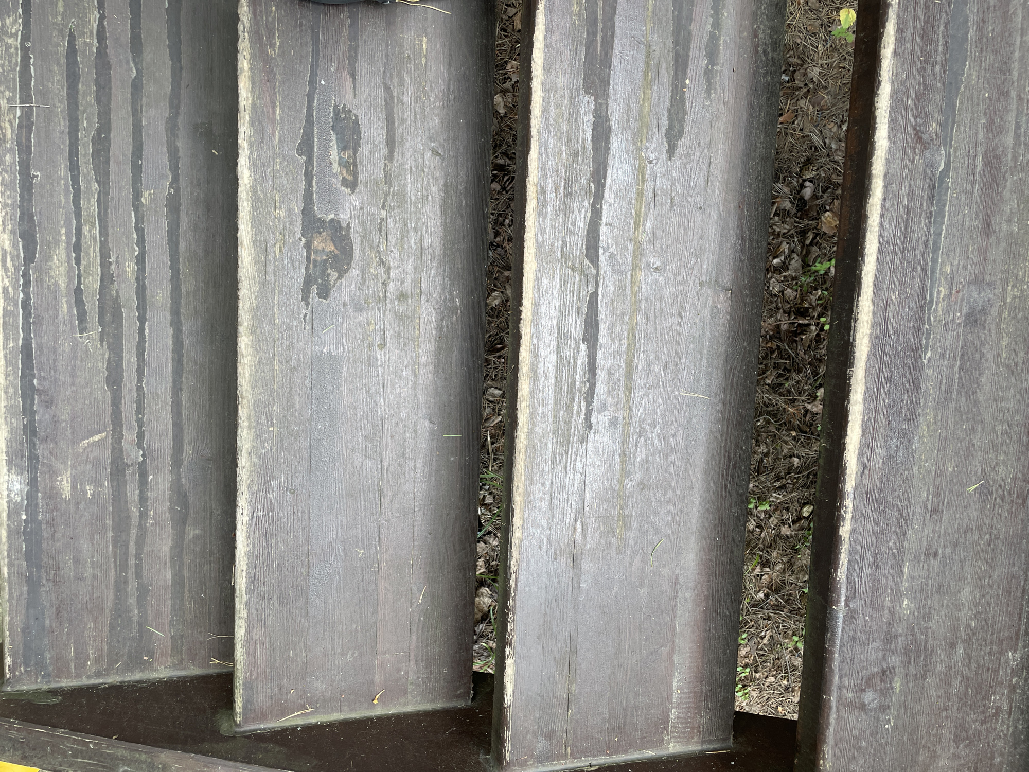 The image is an overhead, close-up view of dark wooden planks that appear to be part of outdoor steps. The planks are arranged vertically and show signs of wear, with some areas appearing lighter and more weathered than others. There are visible water stains or streaks running down the planks. Between the planks, dry leaves, twigs, and some green vegetation can be seen, suggesting the steps are outdoors, possibly in a park or wooded area. The ground beneath the steps is dark and appears damp in places. No people or specific activities are depicted. The lighting suggests it could be daytime, but there are no strong shadows to indicate the time of day. The overall impression is of a natural, weathered outdoor environment.