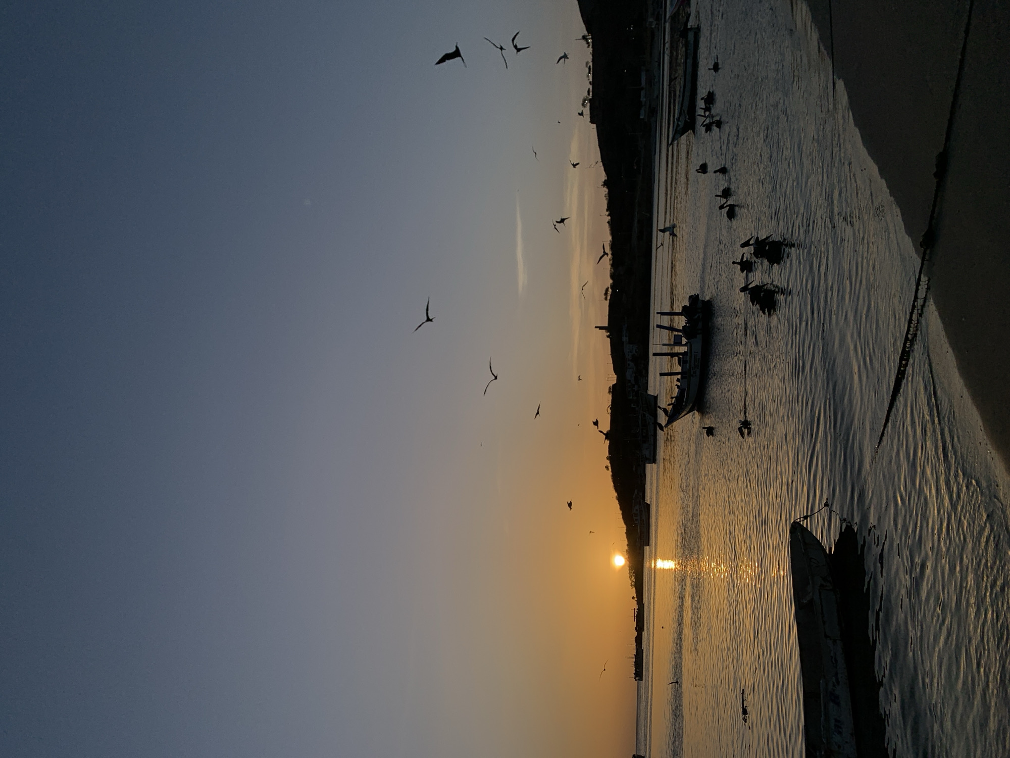 This image captures a sunset scene in the coastal city of Juan Griego, Venezuela. The sky transitions from a deep blue at the top to a warm orange near the horizon, where the sun is setting over the water. The sun is a bright, round orb, casting a shimmering reflection on the gently rippling sea.
Several boats are visible in the water. In the foreground, a long, narrow boat is partially submerged at the edge of the sandy shore. Further out, a larger boat with a canopy is anchored, with several pelicans gathered around it and in the water nearby. Other boats, some appearing to be fishing vessels, are scattered across the bay, silhouetted against the sunset.
The coastline is lined with hills and vegetation, with buildings and structures visible on the slopes. A prominent tower-like structure can be seen on the left side of the distant shoreline.
Numerous birds, likely seagulls, are in flight across the sky and over the water, adding a dynamic element to the tranquil setting. The overall impression is one of a peaceful evening by the sea, with the natural beauty of the sunset and wildlife on full display.