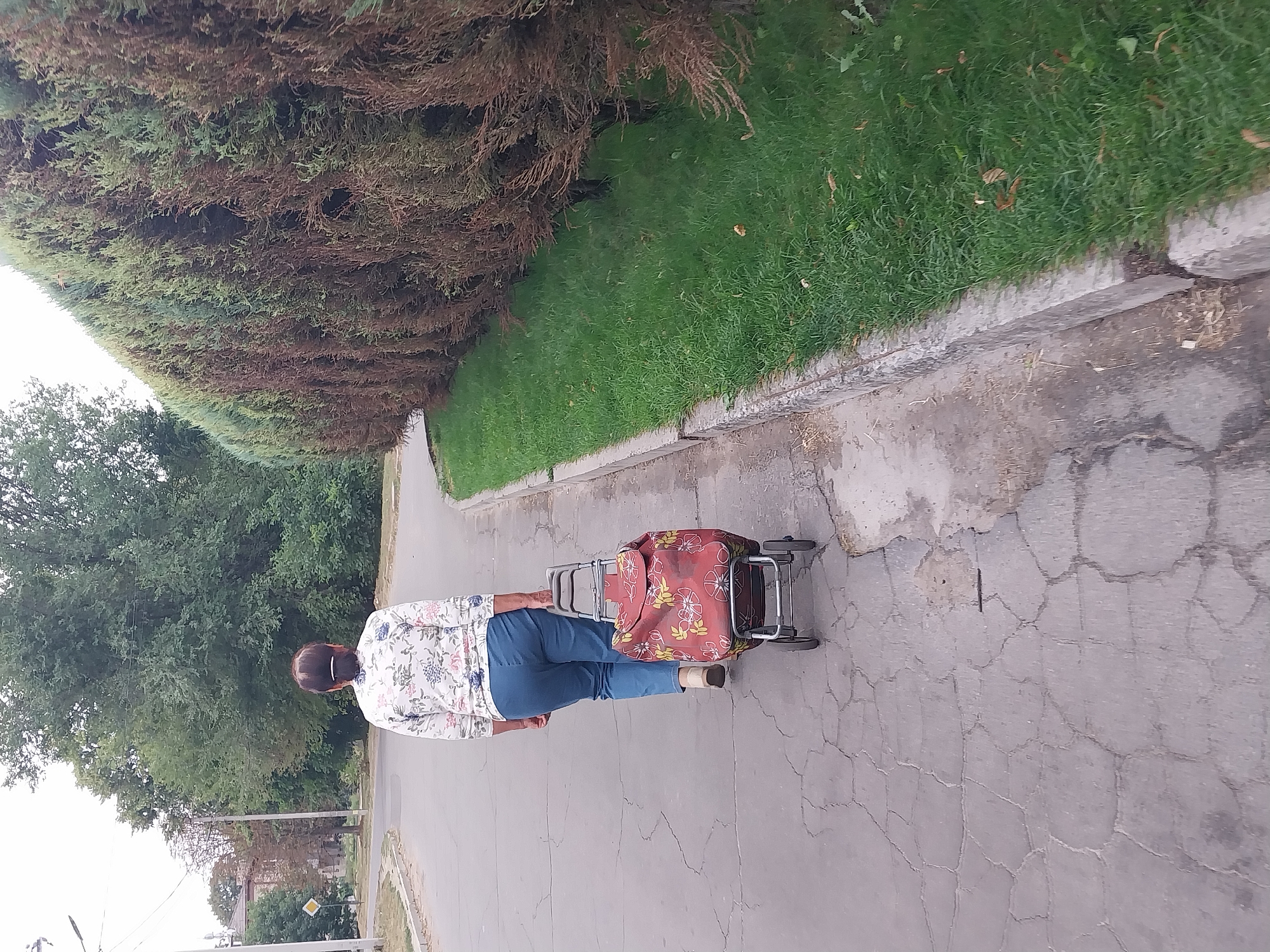 An elderly woman with dark hair pulled back walks away from the camera on a cracked asphalt sidewalk. She is wearing a light-colored floral print blouse and blue pants. She is pulling a red wheeled shopping cart with a floral pattern. To her right, a dense hedge of green and brown conifer trees lines the sidewalk. The background shows more trees and some buildings, suggesting a suburban or semi-urban environment. The scene appears to be in Doslidne, Ukraine, on an overcast day.