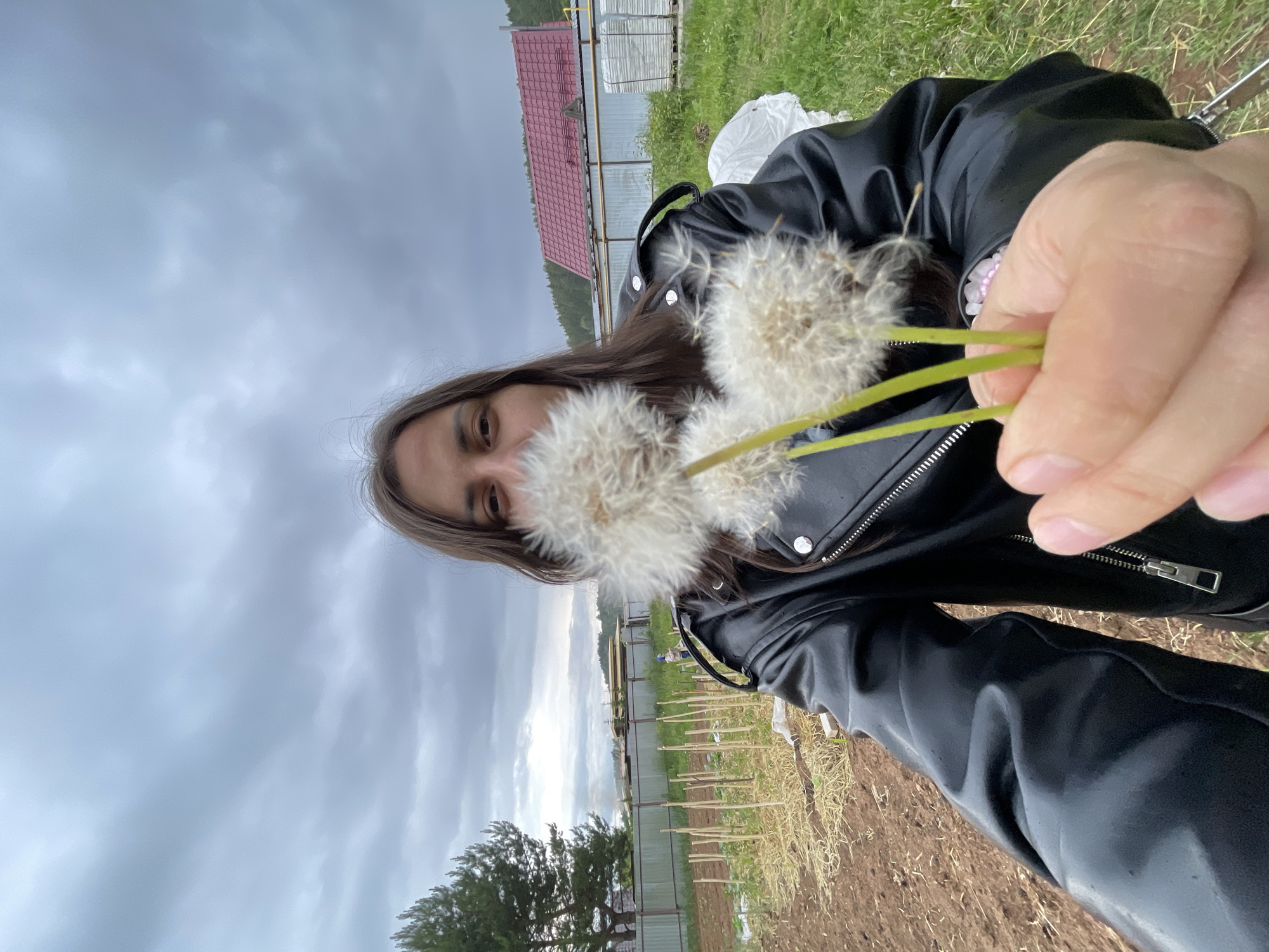 A forensic close-up selfie depicts an individual outdoors in Unknown, Unknown. The person, with long brown hair, wears a black leather jacket featuring silver snap buttons and a prominent zipper on the front closure and sleeves. Their right hand is extended forward, holding three dandelions with fully developed white, spherical seed heads (pappus). These dandelions partially obscure the lower portion of the individual's face, specifically the nose and mouth, though their eyes are visible and directed towards the camera.
The background reveals an overcast sky dominated by grey cloud formations. To the left, a portion of a large pine tree is visible. The immediate foreground on the left consists of reddish-brown tilled earth, indicative of a garden plot, where numerous thin wooden stakes are vertically inserted in rows. Patches of dry straw or mulch are present on the soil. A metal fence runs horizontally across the mid-ground. Beyond the fence, a small figure in blue attire is faintly discernible among the garden stakes. To the right of the garden, green grass covers the ground. Further in the background, behind the fence, a building with a distinctive red corrugated roof is visible on the right, alongside stacked white bundles, likely construction materials. A distant treeline is present beneath the cloudy horizon.