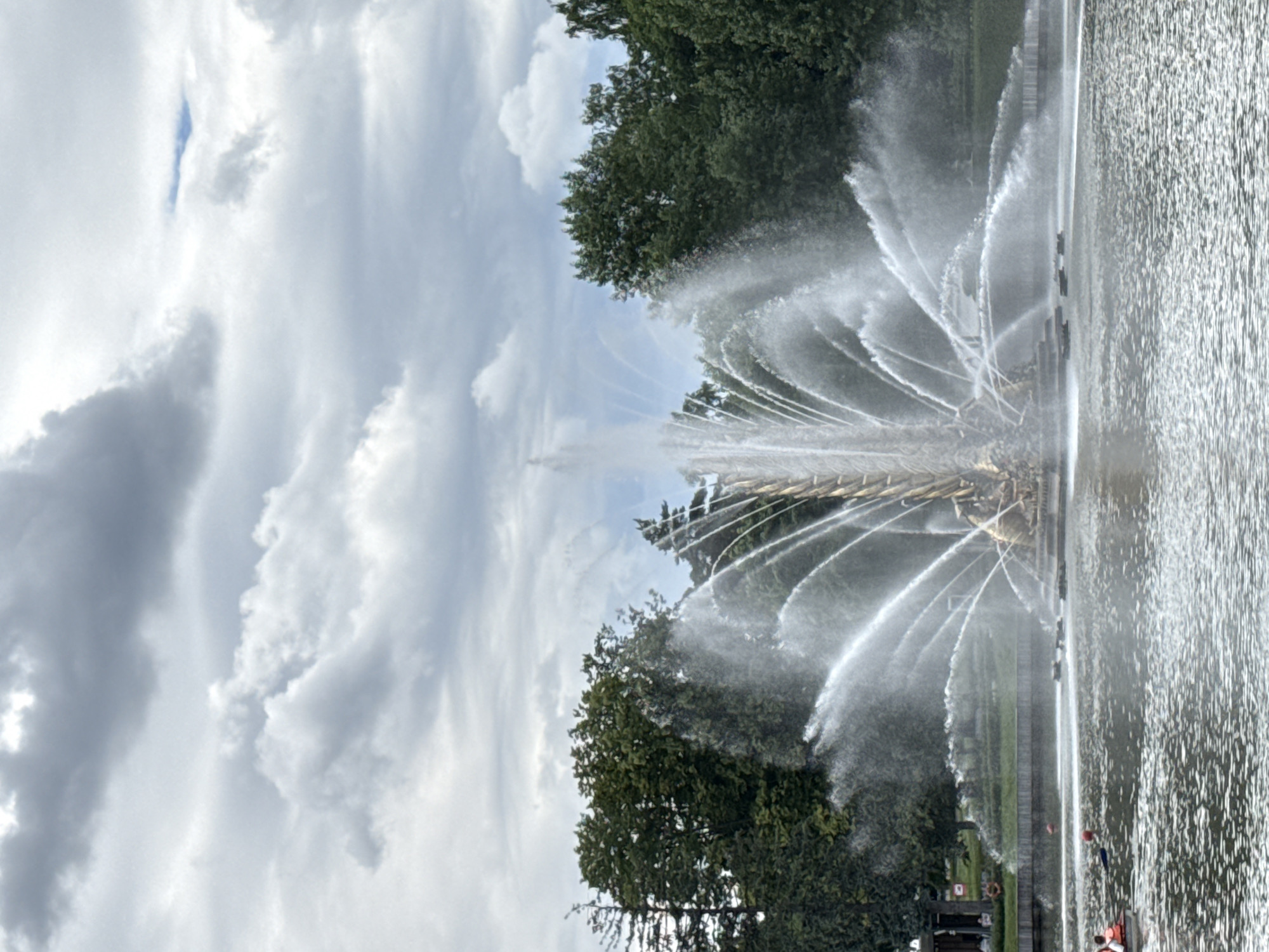 This is a photograph of a large outdoor fountain, likely in a park or garden. The fountain is grand and ornate, with water shooting high into the air and fanning out in elegant arcs. The spray from the fountain creates a mist that catches the light, adding a sense of dynamism to the scene. Surrounding the fountain are lush green trees, their dense foliage contrasting with the white spray and the grey, cloudy sky. The water in the fountain's basin is textured and shimmering, reflecting the light.
In the foreground of the image, on the right side, there are a few people. One person is wearing a bright orange life vest and appears to be on a small boat or raft. Another person, further back, is wearing a red shirt and blue shorts. The presence of these individuals suggests the fountain is a popular attraction, perhaps for recreation or leisure. There are also some life preservers visible near the water's edge, indicating safety measures are in place.
The sky is overcast with thick, dramatic clouds, suggesting a slightly gloomy or overcast day. The lighting is diffused, with no harsh shadows. The overall impression is one of natural beauty and grandeur, with the man-made fountain being a focal point amidst the greenery and the sky. The scene appears to be taking place in the daytime, given the overall brightness. The image is oriented vertically, and the fountain's spray is directed upwards and outwards in a radial pattern. The presence of trees and the scale of the fountain suggest a well-established park or estate. Given the location context of Moscow, Russia, this could be a famous landmark or a grand public garden.