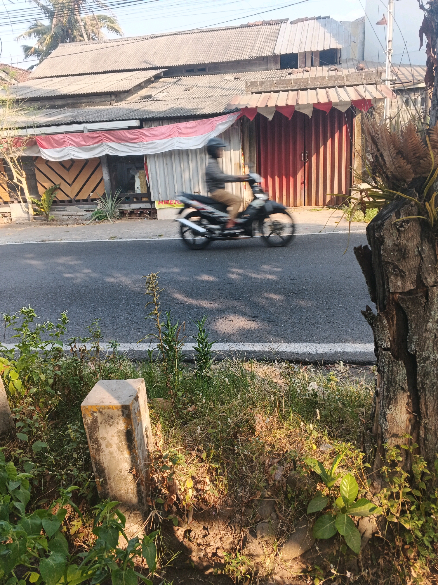 The image depicts a street scene in Ungaran, Indonesia, with a focus on a building facade and a motorcycle passing by. The building features a corrugated metal roof and a red and white awning extending over a retractable metal door. The door is vertically corrugated and painted red and brown. To the left of the door, there is a wooden gate with a geometric pattern. In front of the building is a paved road with a white dashed line. A person on a motorcycle is captured in motion, slightly blurred due to the speed. The foreground is occupied by vegetation, including grass, small plants, and a concrete post with yellow markings. A weathered tree trunk stands prominently on the right side of the frame. The lighting suggests it is daytime, with sunlight casting shadows on the ground.