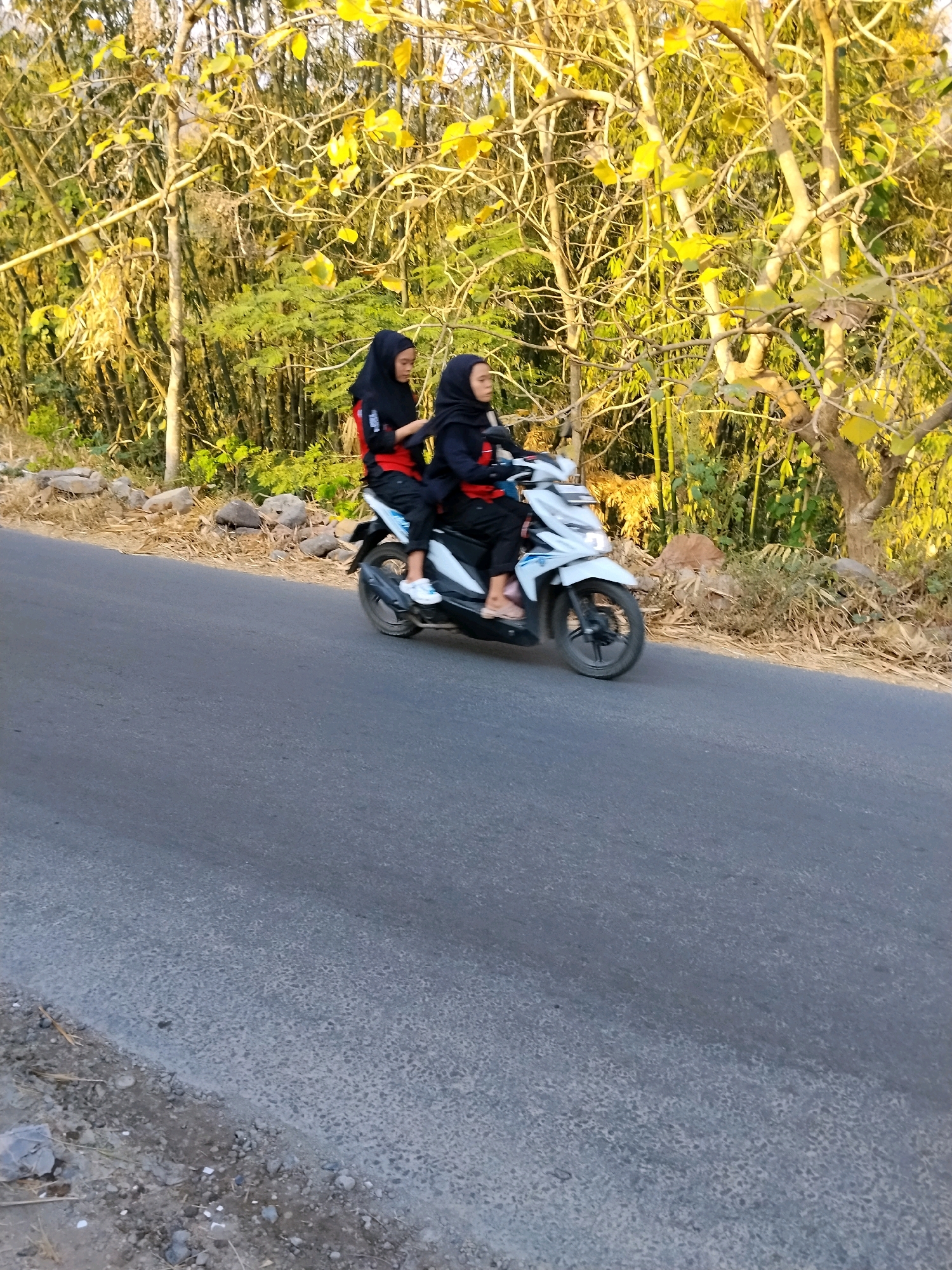 Two young women wearing black hijabs and black clothing with red accents are riding a white motorcycle on a paved road. The woman in the front is driving, and the woman behind her is a passenger. They are both looking forward. The motorcycle is white with blue and white decals. The road is asphalt and appears to be in a rural or semi-rural area. To the left of the road, there is a rocky embankment with dry grass. Behind the embankment and the road, there is a dense growth of trees and bamboo, with some of the trees having yellow leaves. The scene appears to be outdoors during daylight. The location is identified as Panggungan, Indonesia.