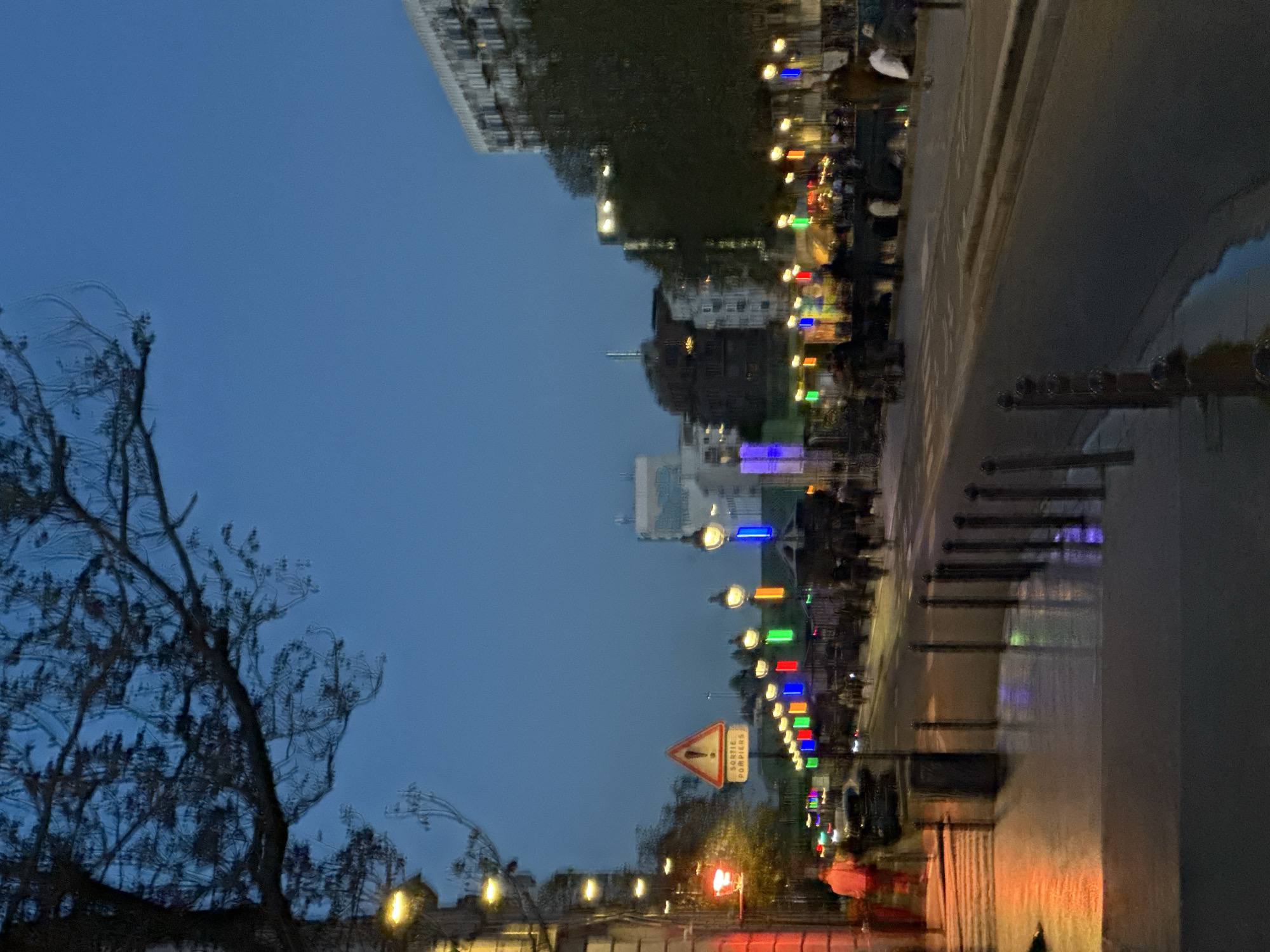 The image depicts an evening street scene in Paris, France. The sky is a dusky blue, and a bare tree is visible in the left foreground. Along the right side of the frame is a wet pavement reflecting the city lights. A row of streetlights, some decorated with red, green, and blue colored lights, line the street. A triangular "sortie pompiers" (fire exit) sign is visible. Buildings are seen blurred in the background. There appear to be people walking on the sidewalk, though their forms are indistinct due to motion blur.