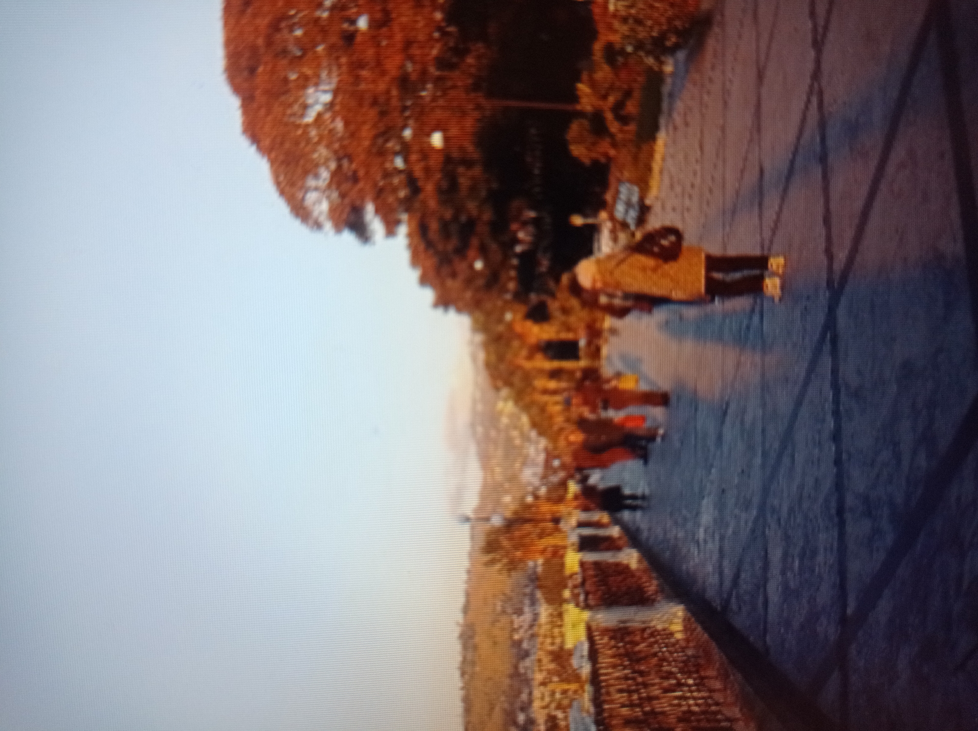 The image depicts a promenade with a paved walkway lined by a decorative railing on the left and trees and foliage on the right. Several individuals are walking along the promenade. In the background, a city with buildings and hills is visible under a clear sky. The time of day appears to be late afternoon or early evening, given the warm lighting and long shadows. The overall scene suggests a leisurely stroll in an urban park or along a scenic route. The specific location within the city of Mukachevo, Ukraine, cannot be determined from the provided image alone, as there are no discernible landmarks or specific architectural features that can be definitively linked to Mukachevo.