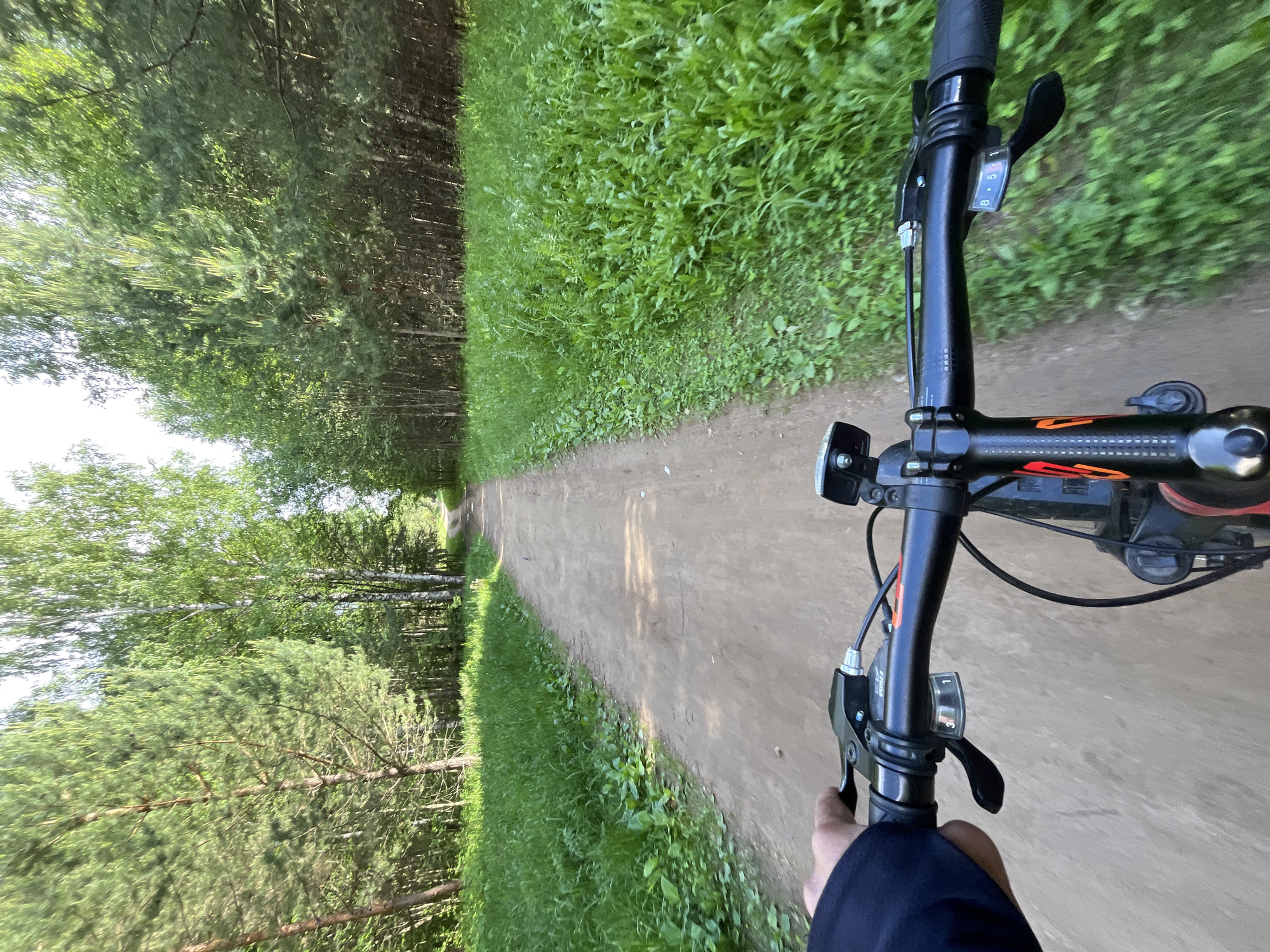 The image presents a first-person perspective from someone riding a bicycle on a dirt path through a forest in Chaikovsky, Russia.
In the foreground, the black handlebars of a mountain bike are visible on the right side. They feature black grips, brake levers, and a gear shifter displaying the numbers "8," "5," and "1," indicating the current gear selection. A black bicycle light is mounted on the front of the handlebars, and a portion of the bike's frame is visible below. A person's right hand, wearing dark clothing, is gripping the handlebar.
The central focus is a wide, unpaved dirt path that stretches straight into the distance, narrowing as it recedes. The path appears well-trodden and relatively smooth. On both sides of the path, lush green grass and dense undergrowth form a natural border. Beyond this greenery, a thick forest lines the trail. On the left side, tall deciduous trees with bright green leaves and some darker pine trees are visible, with glimpses of a bright, clear sky above. The forest on the right appears denser and darker.
The scene depicts a sunny day with bright daylight, suggesting pleasant weather for outdoor activity. The overall impression is one of a peaceful and active journey through a natural, wooded environment.