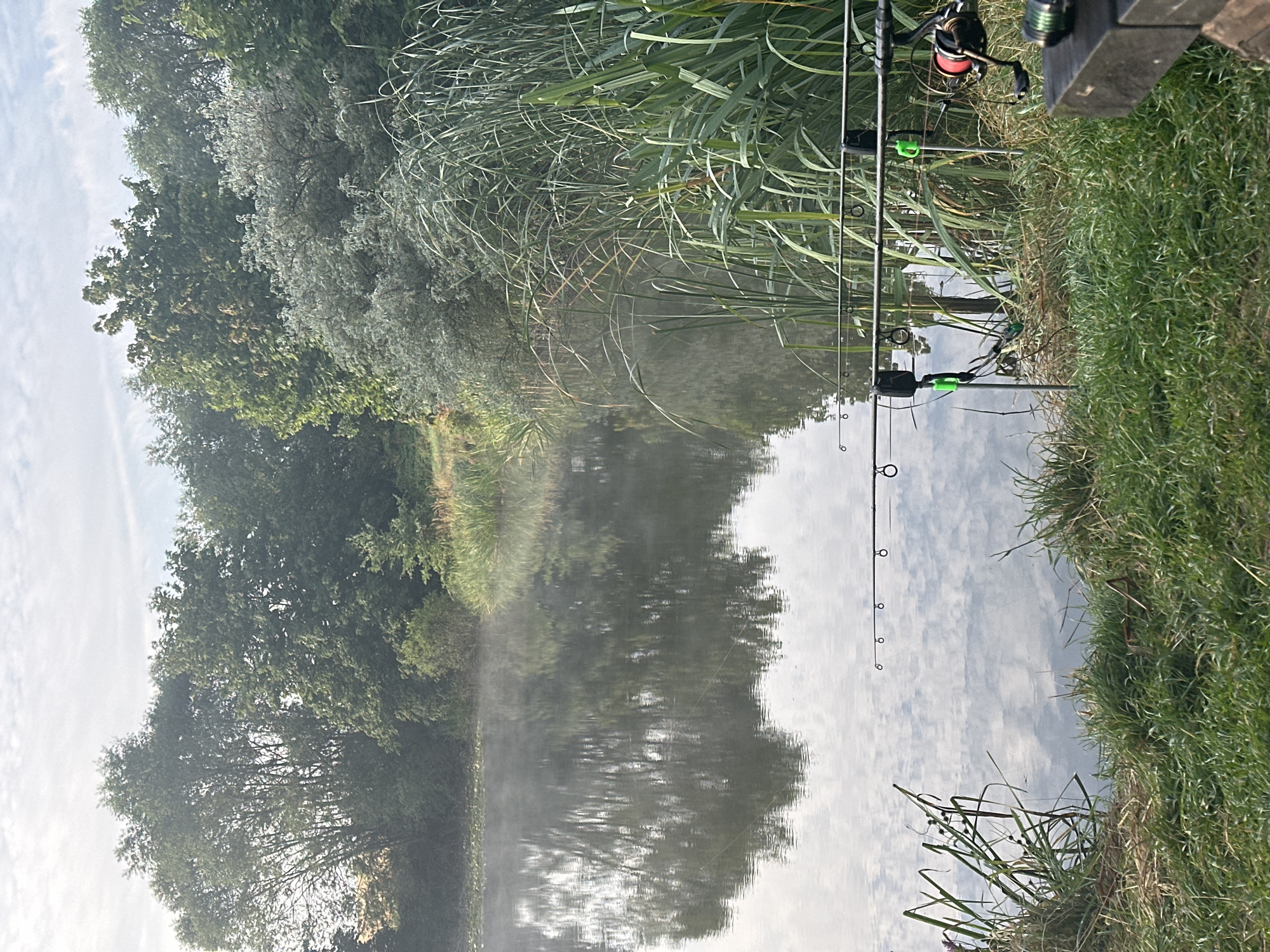 A calm lake with a reflection of trees and a hazy sky is visible in the center of the image. The foreground is composed of green grass and reeds, with two fishing rods set up. One fishing rod is in focus in the foreground, with its reel visible. Another fishing rod is in the background, also with its reel visible. The background consists of lush green trees. The overall atmosphere is serene and natural.