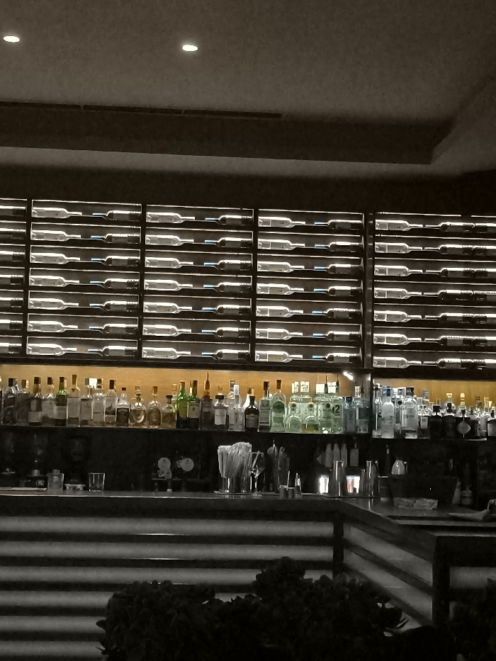 The image captures the interior of a sophisticated bar or restaurant, likely in Palaio Faliro, Greece, characterized by its extensive bottle displays and modern design. The scene is devoid of people, presenting a still shot of the establishment's setup.
The dominant feature is a large wall display consisting of multiple horizontal racks, each housing a single wine bottle. These racks are brightly backlit, causing the wine bottles to appear as luminous silhouettes against the glowing backdrop, creating a striking visual pattern across the upper half of the image.
Below this wine display, a well-stocked bar counter stretches across the frame. On the shelf behind the bar, a diverse collection of liquor bottles is arranged. These include various spirits such as gins (some with noticeable green tints), vodkas, whiskeys, and other liqueurs, highlighted by warm, downward-facing lights that bring out their colors.
The bar counter itself is dark, appearing to be made of a sleek material, possibly dark wood or stone. On the counter, standard bar equipment is visible, including cocktail shakers, several glasses, and a dispenser filled with straws. The ceiling above the bar features recessed spotlights, providing additional illumination to the space. Air vents are also noticeable on the ceiling. In the immediate foreground, a dark, low-lying object, possibly decorative foliage or a structural element, partially obscures the base of the bar.
The overall lighting suggests an evening or nighttime setting, creating an inviting and refined atmosphere. No discernible text or brand names are visible on the bottles due to the distance and image resolution.