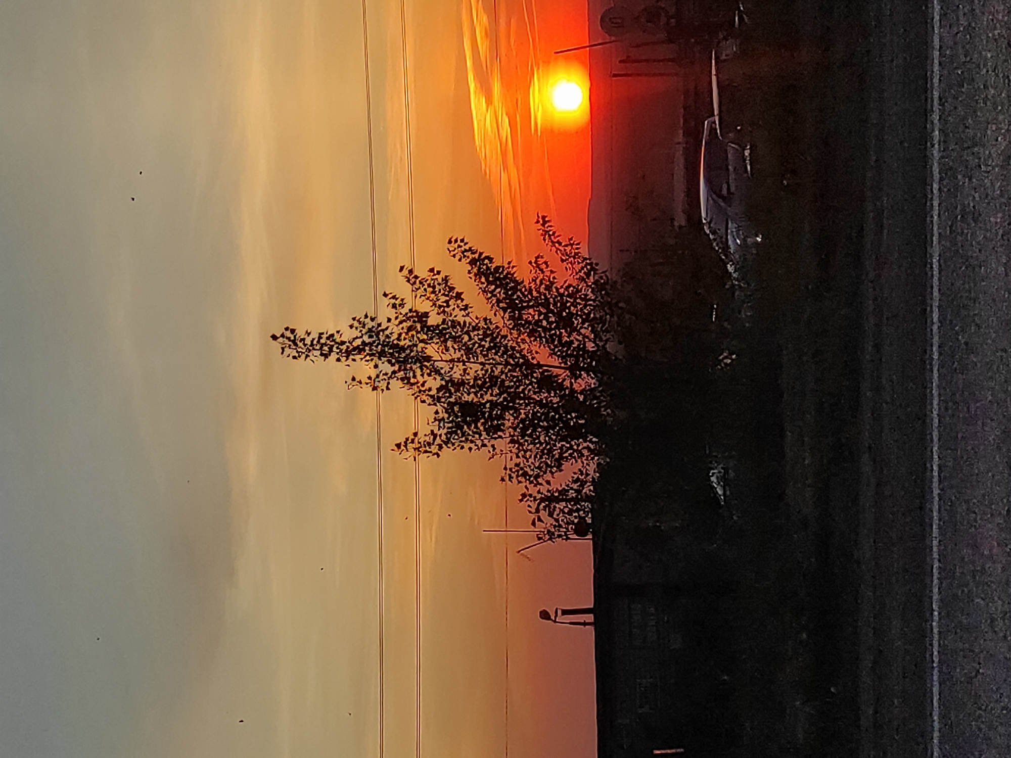 The image depicts a sunset landscape, likely in a rural area. The sun is setting in the background, casting a bright orange and red glow across the sky. A silhouette of a tree is visible in the foreground, with branches reaching towards the sky. Electrical power lines are visible on the left. A road borders the picture on the right. A vehicle is visible in the center-right behind bushes, next to a street sign, making it likely that this is in or near the city of Chaikovsky, Russia.