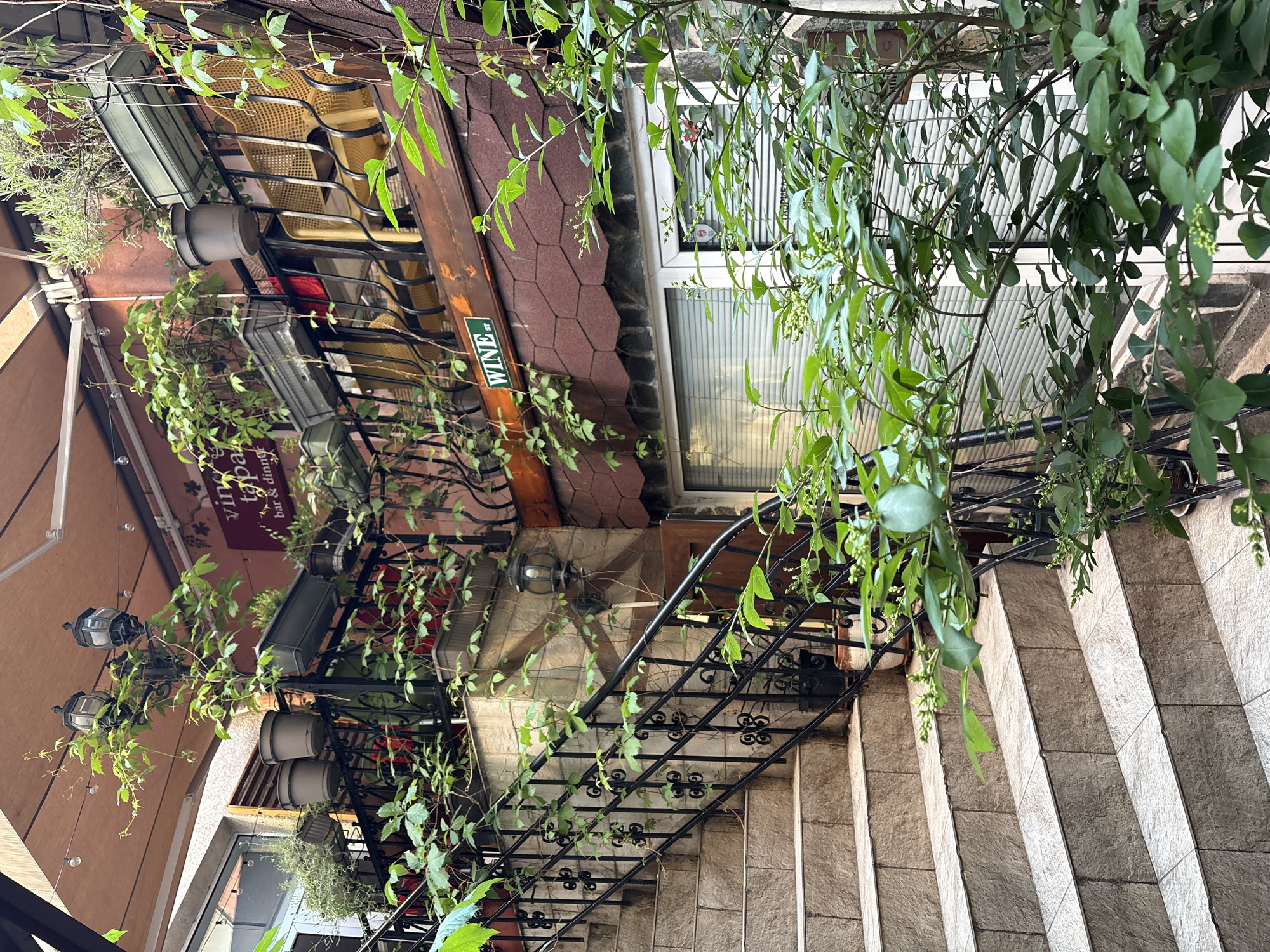 The image displays an outdoor staircase and facade, likely belonging to a cafe or restaurant in Sofia, Bulgaria. The main subject is a set of light-colored, tiled stairs leading upwards from the bottom left to the top right. A prominent black wrought iron railing with ornate, scrolled patterns runs alongside the stairs, heavily intertwined with lush green climbing plants and vines. Numerous potted plants and window boxes also contribute to the abundant greenery, some displaying small, light green buds or flowers.
To the left, an upper-level outdoor dining or seating area is visible, furnished with yellow, wicker-style chairs and small tables, situated behind a black railing. Above this area, a reddish-brown banner or awning displays partially visible white text that reads "vine tap bar & dinner." Below the awning, a multi-branched black lamp fixture hangs. Further to the right and slightly higher, a section of a roof with reddish-brown hexagonal tiles is present, with a green rectangular sign attached to a wooden beam that clearly states "WINE ST" in white text. Adjacent to this, a white-framed window with vertical blinds or louvers is visible. Another single lamp fixture is mounted on a textured stone wall next to the stairs.
The scene appears to be set during the daytime, characterized by bright, soft light without harsh shadows, suggesting an overcast day or a shaded area. No specific activity or people are depicted, but the arrangement of seating and signage clearly indicates a commercial establishment. The overall impression is one of a charming and inviting European streetscape.