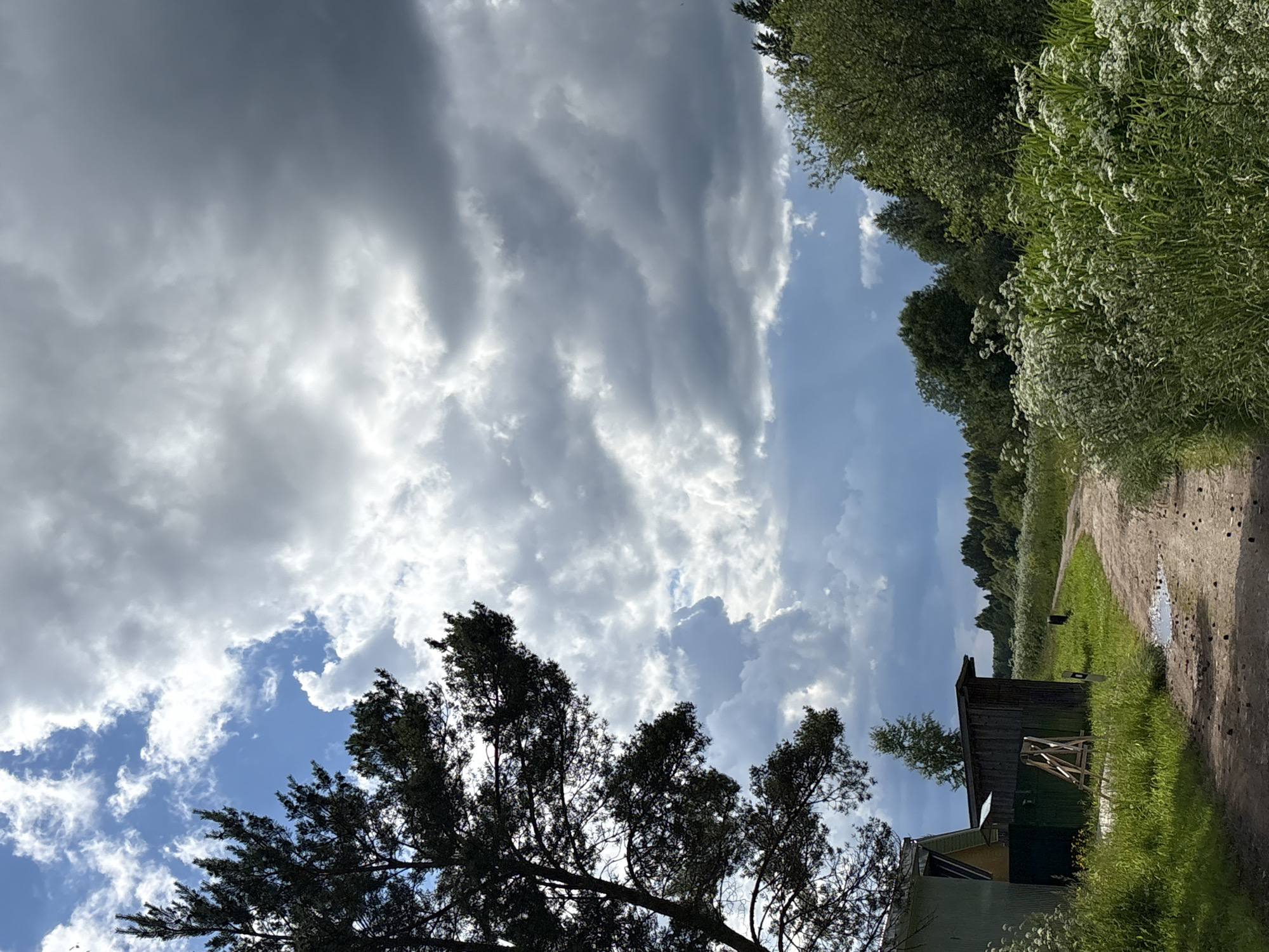 This media file depicts an outdoor scene under a dramatic sky in Дресвяново, Russia. The frame is dominated by a vast expanse of clouds, ranging from dark, heavy formations to brighter, sunlit areas, suggesting a dynamic and perhaps changeable weather pattern.
In the foreground, the silhouette of a dark-leafed tree branches out from the bottom left, its dark foliage creating a stark contrast with the bright sky. To the right, a dirt path is visible, bordered by lush green grass and wildflowers. A small, rustic wooden structure, possibly a shed or outbuilding, stands near the path, with a lighter colored building adjacent to it. The presence of a small puddle on the path indicates recent rainfall or damp conditions.
The background features a dense line of trees and vegetation, creating a natural boundary to the open area. The light suggests it is daytime, likely late morning or afternoon, given the brightness of the sky and the shadows cast. There are no visible people or text in the image. The overall mood is one of natural beauty, with the imposing sky and the quiet, rustic setting creating a sense of peaceful solitude.