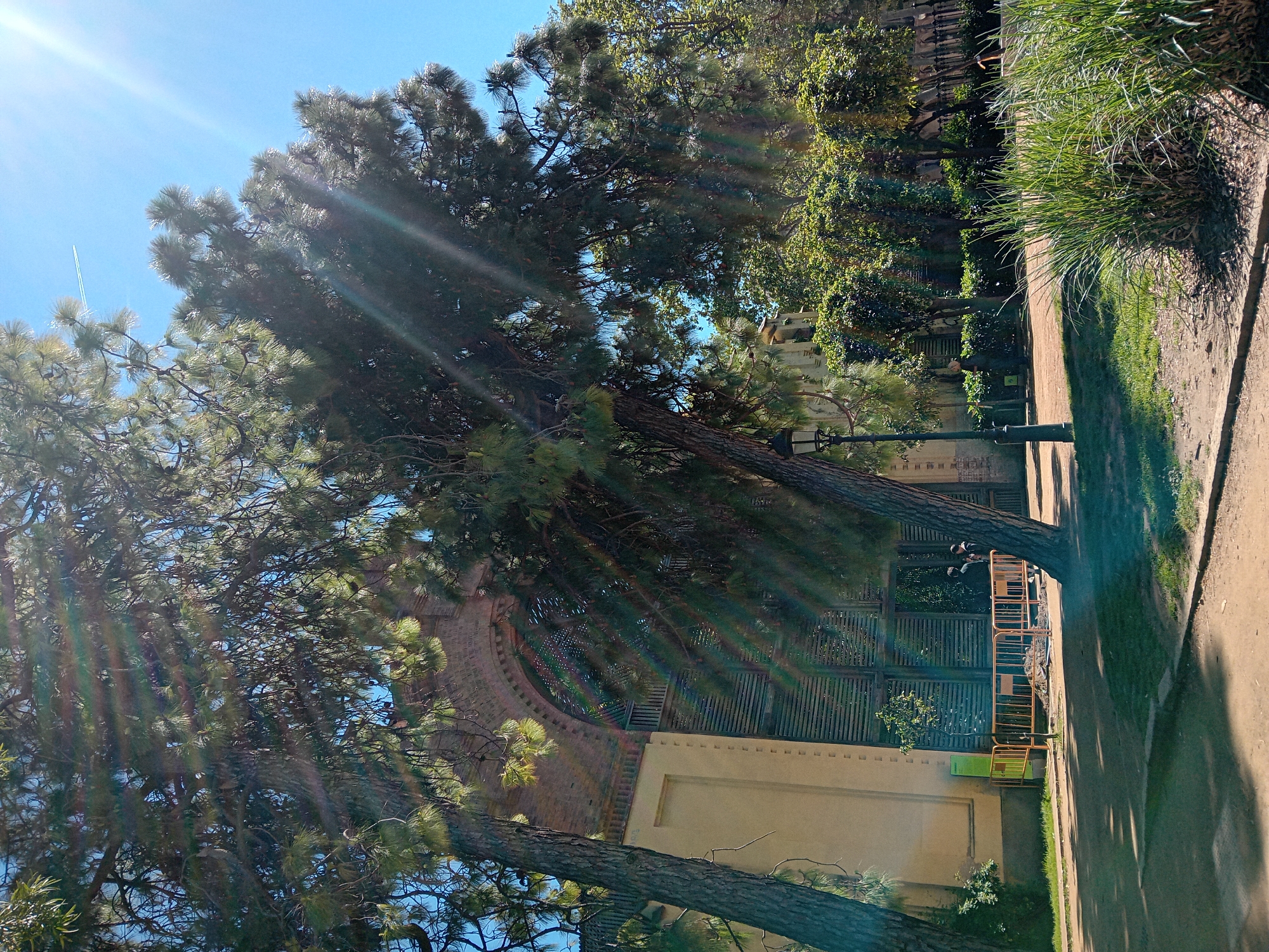 The image shows a sunny outdoor scene in Barcelona, Spain. A large pine tree dominates the left side of the frame, with its branches partially obscuring the view of a building in the background. The building has a curved architectural element, possibly a wall or archway, with a brick exterior and a tan-colored lower section. A slatted structure is visible behind the tree branches, possibly a gate or fence. A path runs along the right side of the image, bordered by grass and vegetation. Yellow metal barriers are visible near the path, perhaps indicating construction or maintenance work. Two people, likely adults, are near the path. The sky is blue, and there are visible sunbeams filtering through the tree branches.