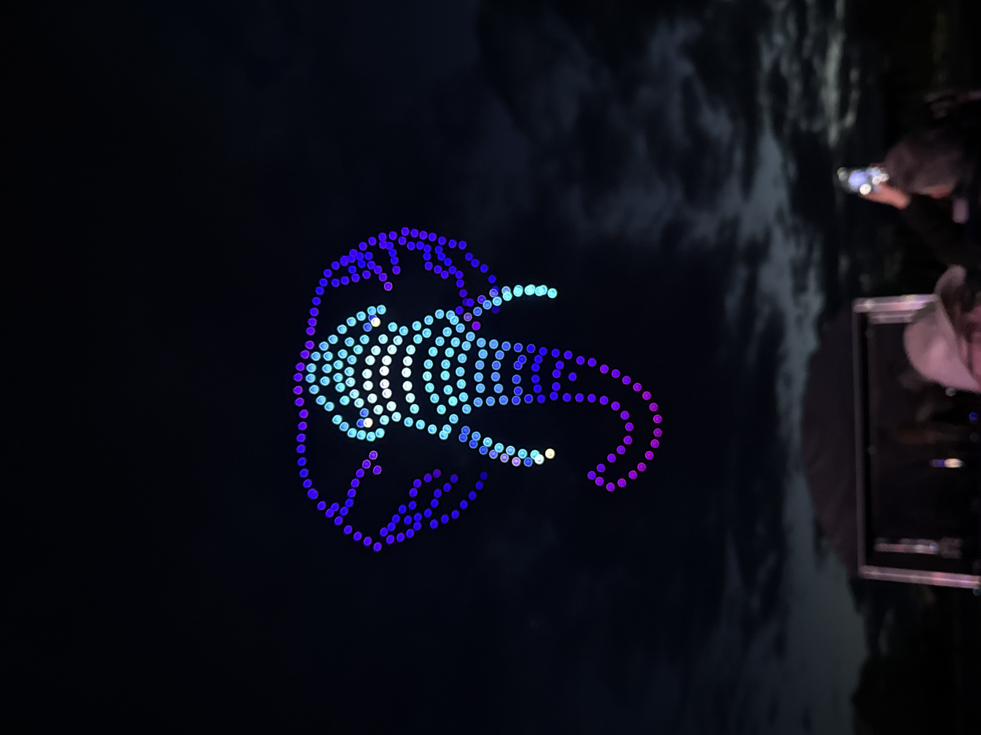 A nighttime image shows a lit-up drone display in the shape of a jellyfish or similar marine creature. The drones emit a blue, white, and purple light and are arranged in a pattern to define the shape. The jellyfish shape appears to be centered and positioned above the people watching. The location appears to be somewhere outdoors where people are watching the light display. The city is South Norfolk, United Kingdom. Some people are visible on the right side of the image, including one individual holding up a phone, possibly to record or photograph the drone display. The backdrop is a dark sky with some cloud cover or structures visible on the lower right.