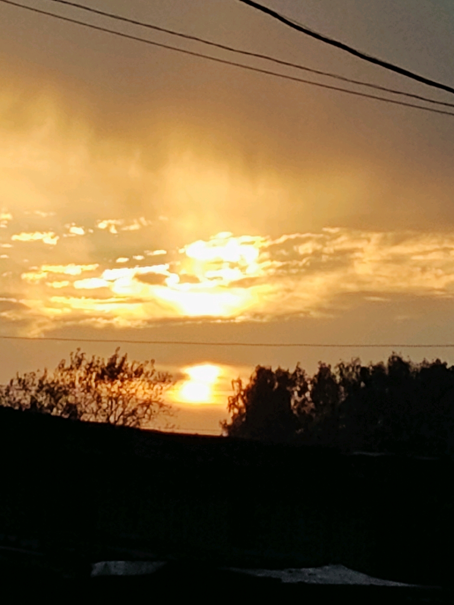 A sunset is captured in the image, with the sun partially obscured by clouds. The sky is a vibrant gradient of orange and yellow, with scattered clouds reflecting the sun's light. In the foreground, silhouetted against the bright sky, are the tops of trees. Two power lines run horizontally across the upper portion of the image. The scene is likely a natural landscape, possibly a rural or suburban area, given the presence of trees and power lines. The image does not depict any specific landmarks or structures that would definitively place it in the city of Фоки, Russia.