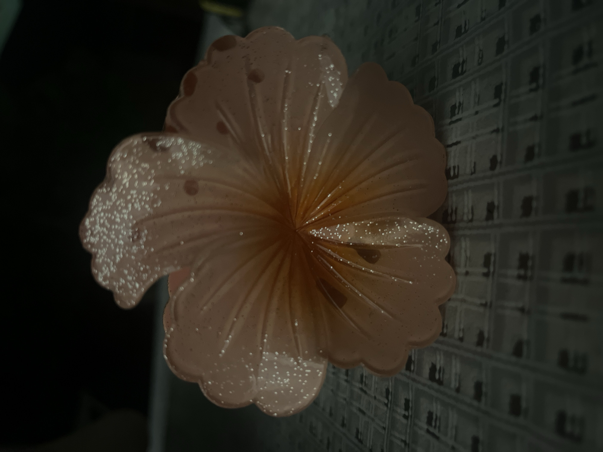This media file displays a close-up, high-angle shot of a translucent, pale pink decorative object shaped like a flower. The object has scalloped edges and appears to be made of a material with a subtle glitter or shimmer, as evidenced by numerous small, bright white specks scattered across its surface, particularly on the petals. The flower is positioned on a surface with a grid-like pattern, possibly a textured wallpaper or a screen. The background is dark and out of focus, with a shadowy area on the left and the textured surface occupying the right side. The lighting creates a soft glow on the flower, highlighting its translucent quality and the embedded sparkles. No people are visible, and no specific activity or event is taking place. The image is a still shot, focusing on the aesthetic details of the decorative flower. The location context of Branipole, Bulgaria, does not provide direct visual cues within the image itself, as the scene is confined to the object and its immediate surroundings. There is no visible text in the media file.