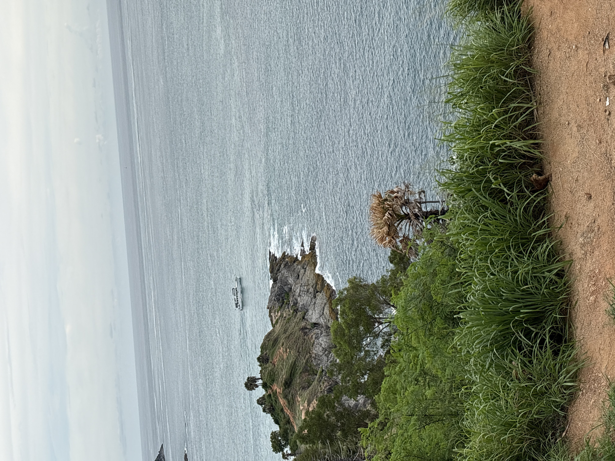 The image shows a panoramic view of the coastline in Rawai, Thailand, on an overcast day. The foreground is dominated by a dirt path and a dense patch of tall green grass. In the middle ground, a rocky, green-covered promontory juts out into the ocean. Trees, including palm trees, are scattered across the promontory. A white boat with a canopy is visible in the water near the promontory. The background consists of the calm, grey ocean stretching to the horizon, meeting a pale, cloudy sky. A small, brown animal, possibly a rodent, is partially visible sitting in the grass in the lower right portion of the image.
