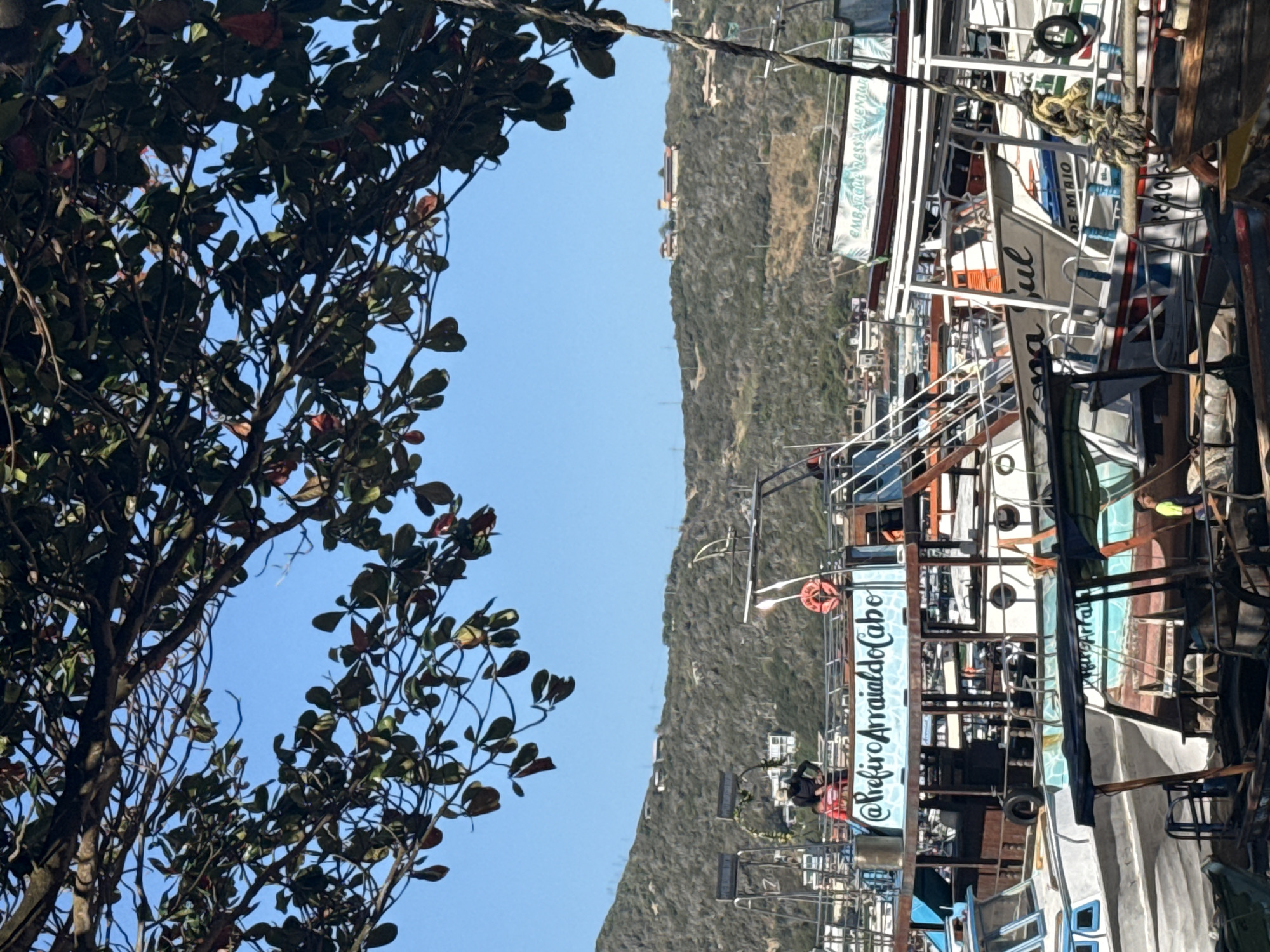 The image depicts a harbor in Arraial do Cabo, Brazil, with numerous boats docked and partially obscured by the branches of a large tree in the foreground. The sky is clear and blue. Several boats are visible, with varying colors and structures, some appearing to be passenger vessels for tours. One boat prominently displays the text "@PrefiroArraialdoCabo" in a flowing script. Another boat has the text "EMBARQUE NESSA AVENTUR" on its side. In the background, a lush green hillside rises, dotted with buildings. The overall scene suggests a sunny day in a coastal town, likely a popular tourist destination.