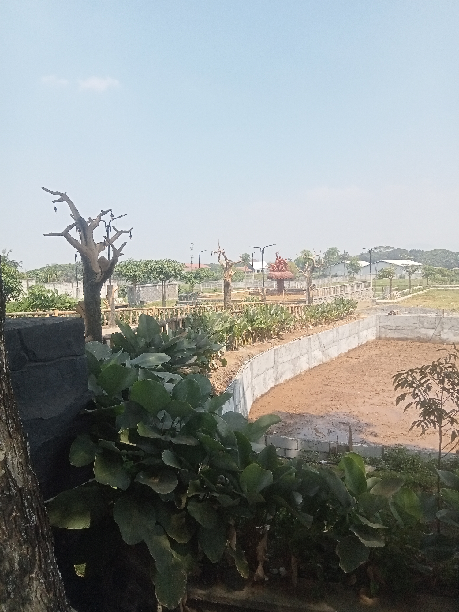 This image captures a scenic view of a park area, possibly under development or recently constructed, in Malang, Indonesia. The foreground is dominated by lush, large-leafed green plants, partially obscuring a dark, textured wall on the left. Beyond the plants, a dry, sandy enclosure is visible, bordered by a low concrete wall. In the middle ground, a wooden fence lines a pathway, with rows of smaller green plants and several stylized, bare trees, some adorned with hanging lights. Further back, a cluster of buildings with orange roofs and grey walls suggests a developed area or facilities within the park. The background reveals more distant buildings, trees, and a hazy, light-colored sky. The overall impression is of a public space designed for relaxation and recreation, likely a new attraction in Malang.