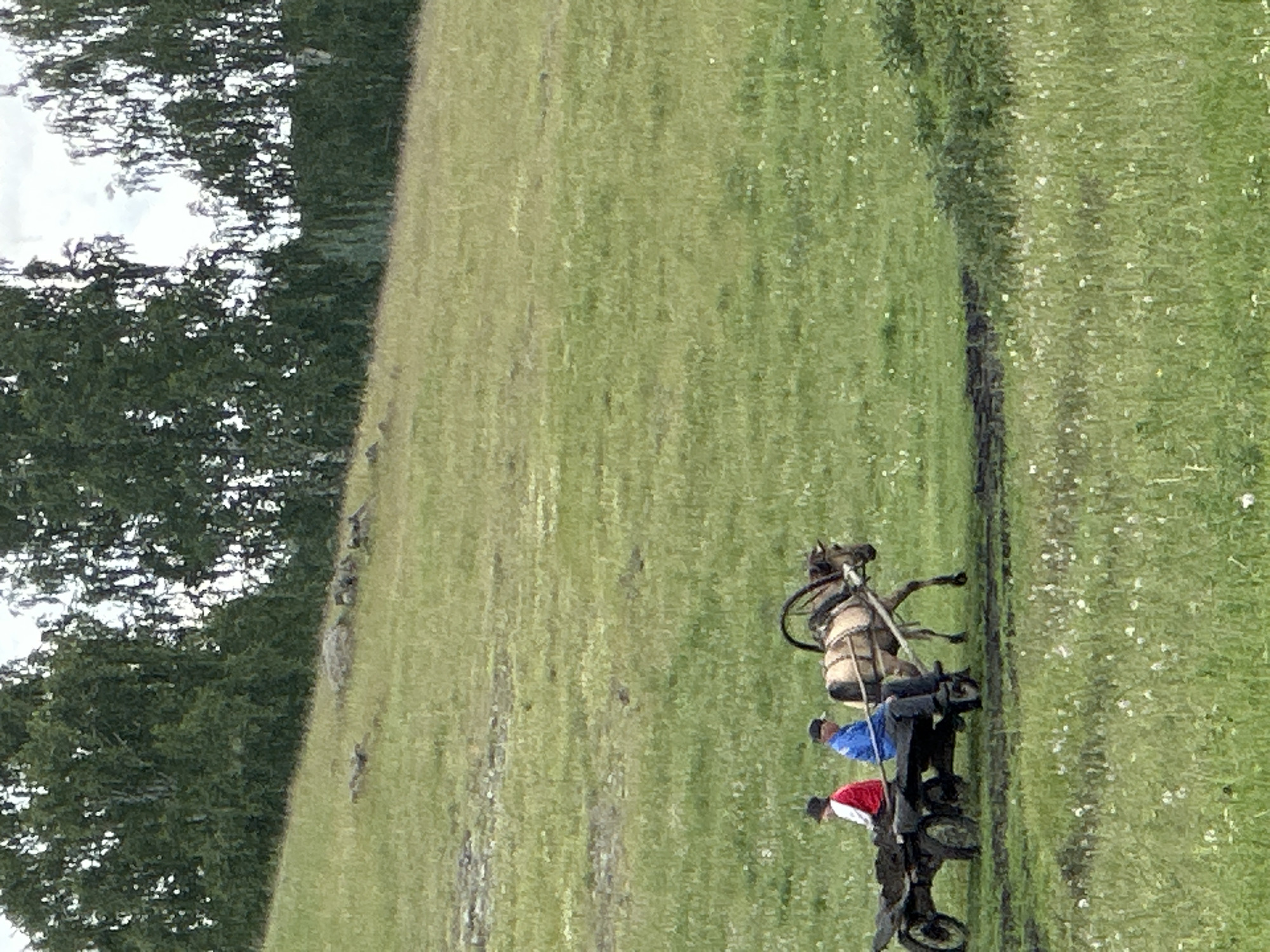 A horse-drawn cart with two people is moving across a grassy field in Abzakovo, Russia. The cart is dark brown and appears to be carrying soil or dirt. The horse is light brown and is harnessed to the cart. The person in the driver's seat is wearing a blue shirt and a dark baseball cap. The person in the passenger seat is wearing a red and white jacket. The field is covered in green grass with scattered white wildflowers. In the background, there are trees and a cloudy sky. The scene suggests a rural or agricultural setting.