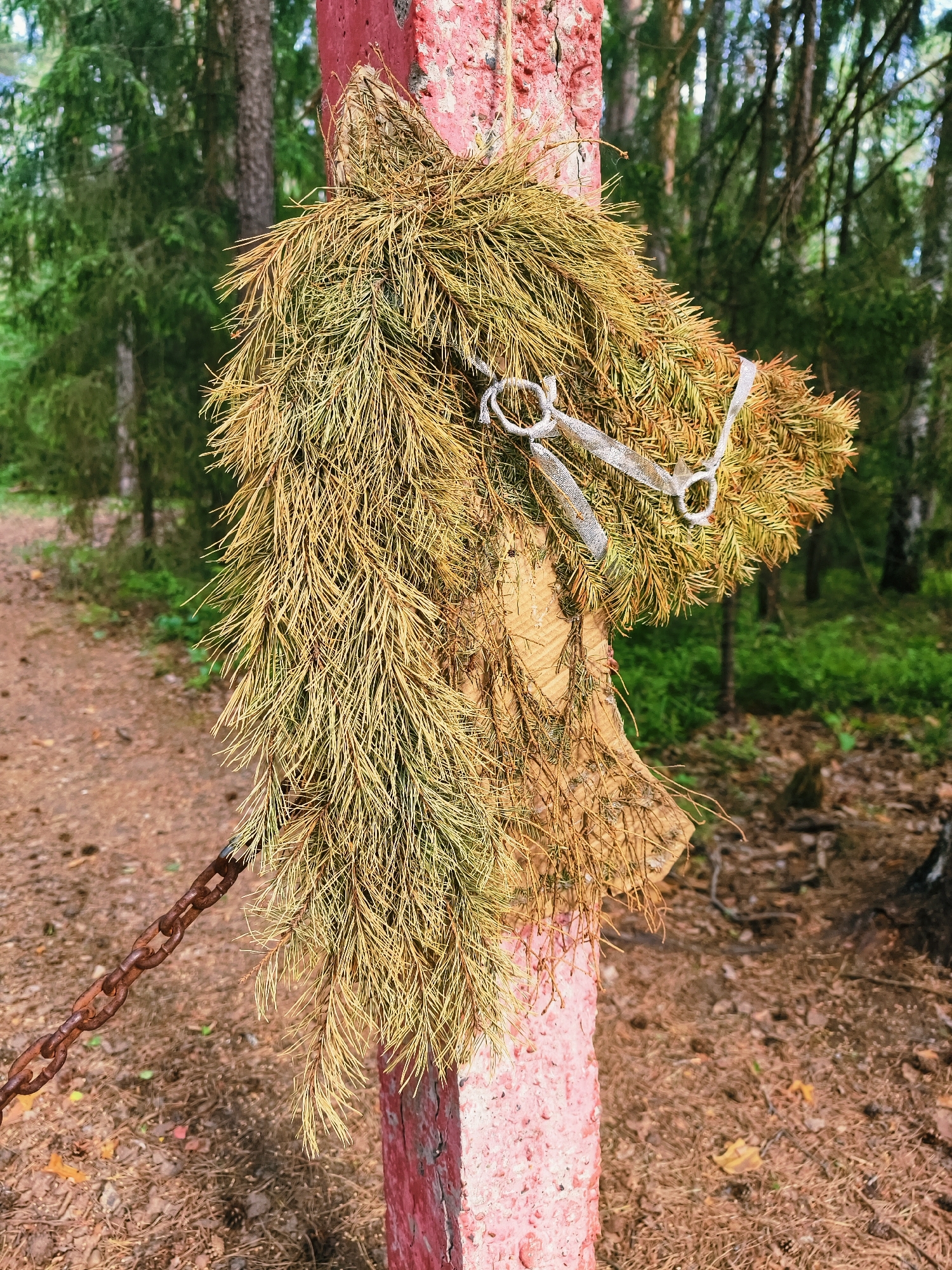 The image depicts an unconventional horse head sculpture made of dried evergreen boughs and what appears to be a cardboard cutout, attached to a weathered red and pink painted post. The horse head is adorned with a simple bridle or harness made of metallic ribbon or wire. A rusty chain is linked to the post near the base. The scene is set outdoors in a forest or wooded area, evidenced by the background of tall evergreen trees and a forest floor covered in pine needles and leaves. The area seems to be part of a pathway or trail. The location in Noviy, Russia is unspecified.