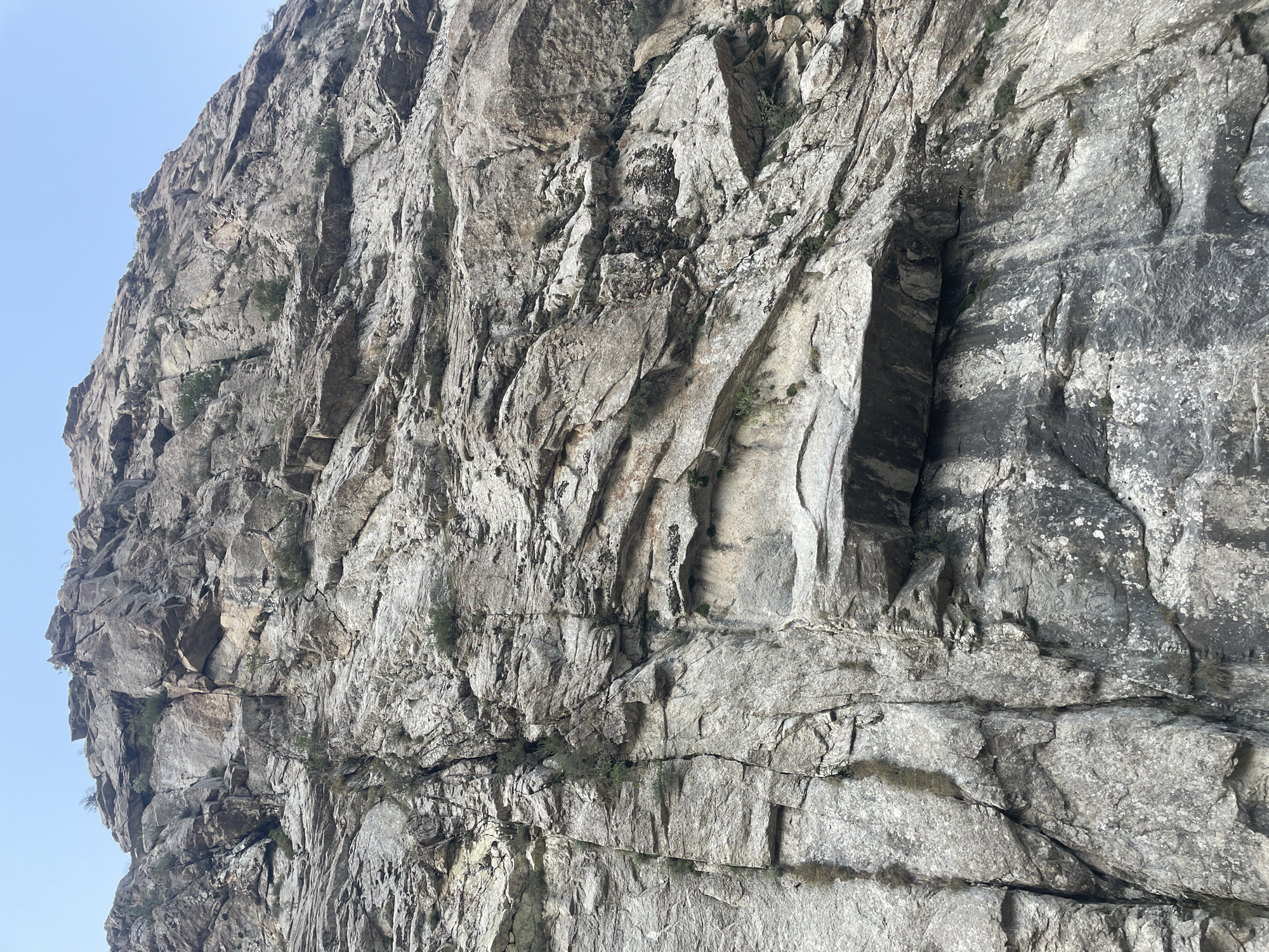The image shows a massive, rugged rock face in the mountains near Khodzha-Obigarm, Tajikistan. The rock is predominantly grey with varying shades and textures, indicating geological stratification and erosion. Patches of green vegetation, appearing as small bushes and sparse grass, are visible growing out of crevices and along ledges. The overall impression is one of a natural, untamed mountainous landscape. The sky, visible in the upper portion of the image, is a pale, clear blue, suggesting fair weather. There are no people, animals, or man-made structures depicted in the scene. The perspective is from below, looking up at the imposing cliff.