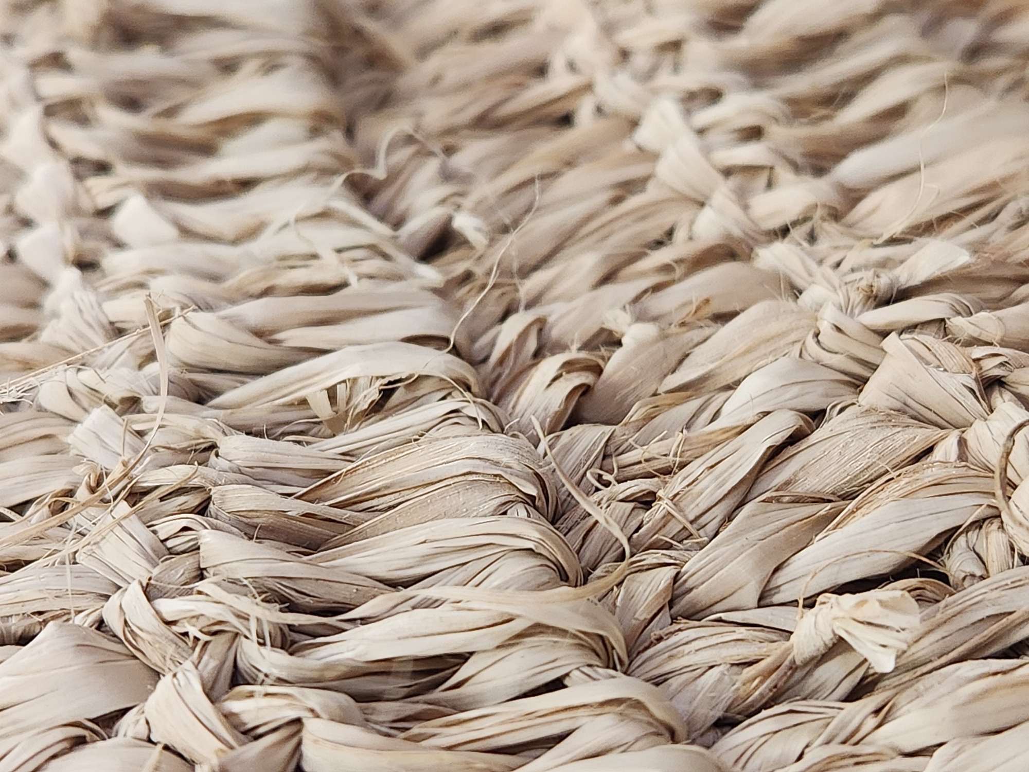This is a close-up, abstract image of woven dried grass or straw. The material is a pale beige and brown color, with variations in texture and shade due to the natural fibers. The weaving is intricate, with strands interlaced to create a dense, textured surface. Some individual strands are visible, appearing dry and slightly frayed. The lighting casts subtle shadows, highlighting the depth and dimensionality of the weave. There are no people, buildings, or recognizable landmarks present in the image. It is impossible to determine the location within the city of Maitland, United States of America, based solely on this abstract texture.