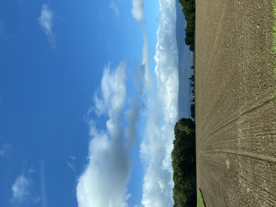 The image depicts a rural landscape in Veigy-Foncenex, France, dominated by an agricultural field under a partly cloudy sky. The foreground features a wide expanse of freshly tilled, dark brown earth, exhibiting parallel furrows and faint tracks from agricultural machinery receding towards the horizon. A narrow strip of green grass borders the immediate lower edge of the frame, with another small patch visible on the far left. In the midground, a dense line of green deciduous trees runs along the left side, while the center and right reveal distant scattered trees and indistinct structures, possibly farm buildings. The background is characterized by a low, dark mountain range or large hills stretching horizontally across the scene. Above, the sky is a vibrant blue, populated by scattered white cumulus clouds of varying sizes and densities. No individuals, animals, or specific actions are discernible within the frame.