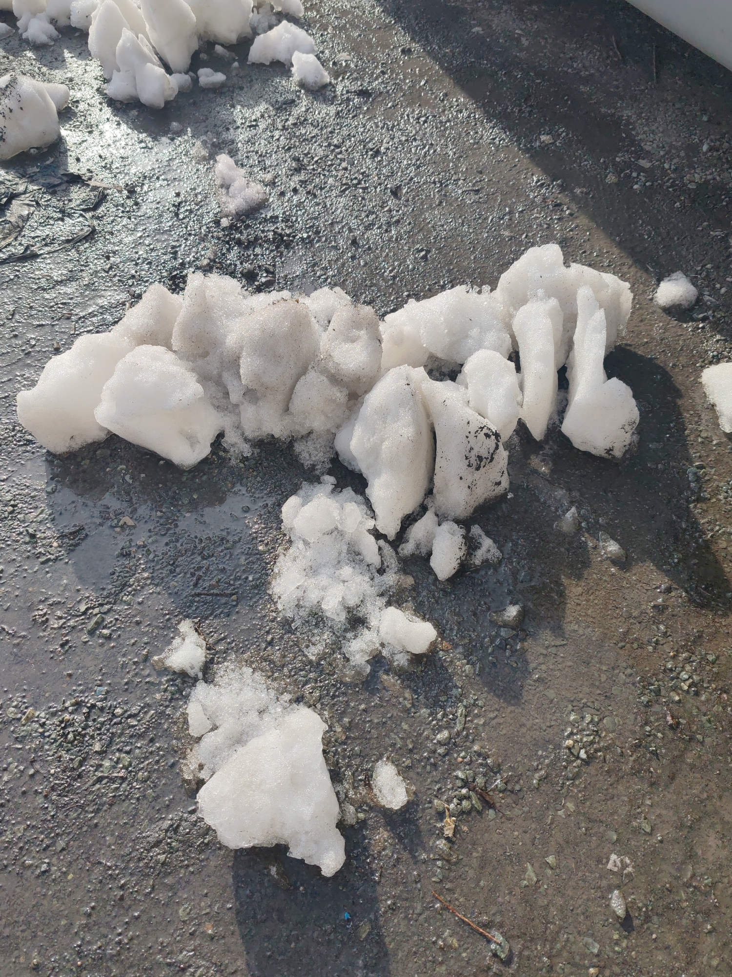 The image shows melting snow on a wet, gravelly surface. The snow is in clumps, some clean and white, some with dirt. The background surface appears to be a street or parking lot. There are no people visible. The location is asserted to be Petropavlovsk-Kamchatsky, Russia, but this is not verifiable from the image alone.