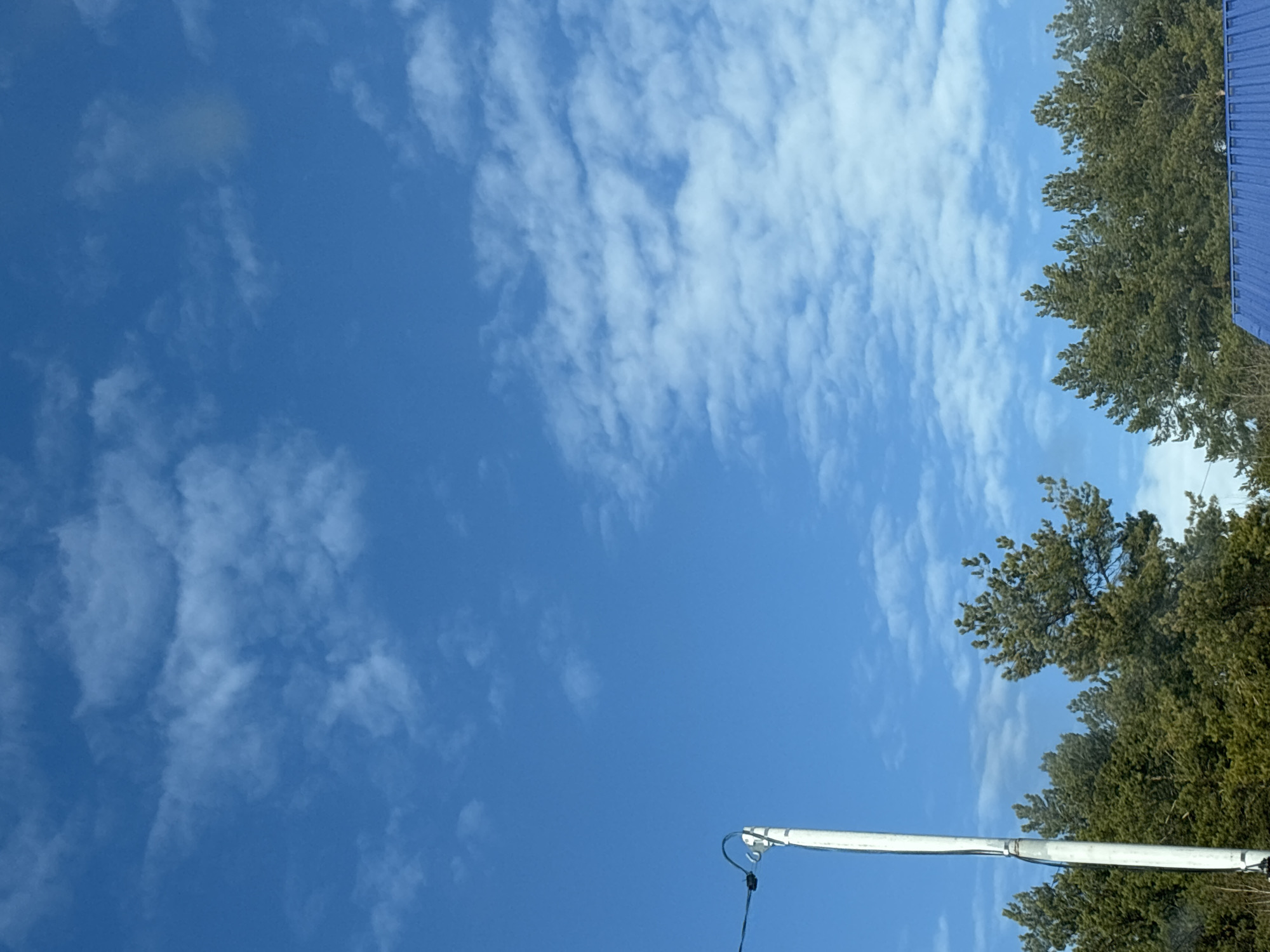 The image depicts an outdoor daytime scene in what is identified as the city of Марковский, Russia. The upper two-thirds of the frame are dominated by a clear, bright blue sky with numerous scattered white altocumulus and cumulus clouds. In the lower-left quadrant, a slender, light-colored utility pole extends vertically, with dark wires attached to its upper section via a dark insulator or bracket. A dense line of dark green coniferous trees, likely pines, spans the middle ground horizontally, positioned beneath the sky and behind the utility pole. In the lower-right corner, a portion of a bright blue corrugated metal roof is visible, suggesting an obscured building. No people are visible within the frame. No actions or interactions are depicted.