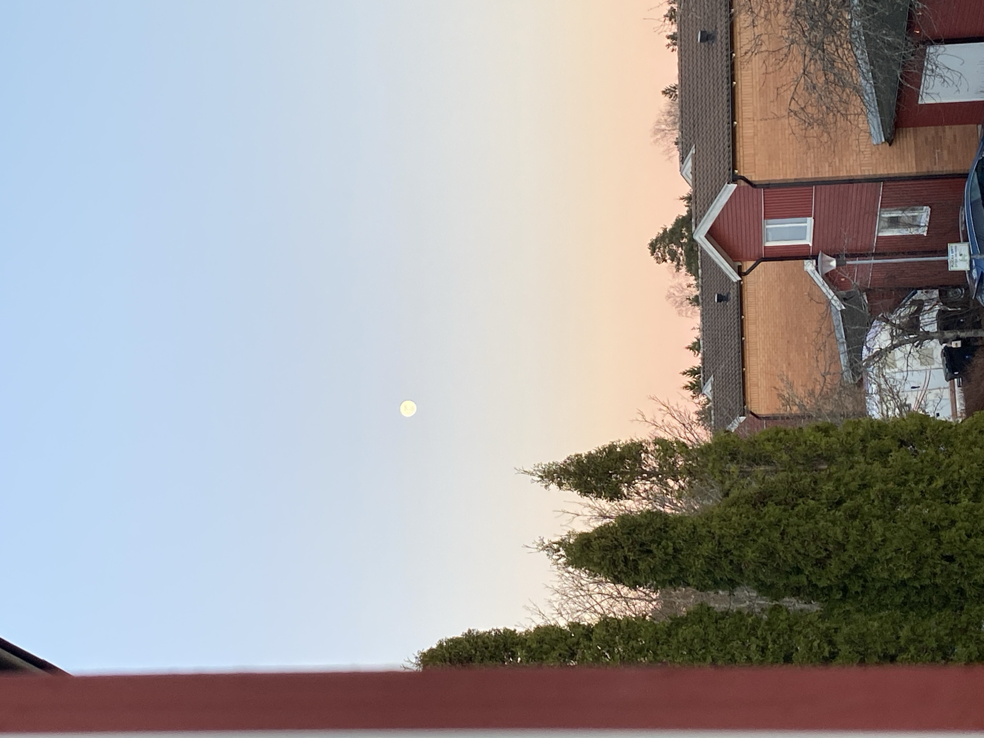 The image shows a landscape in Björklinge, Sweden at dusk. The sky fades from light blue on the left to a peachy orange on the right. The moon is visible in the center-left portion of the sky. In the lower portion of the image, there are rows of green bushes. Behind them, a house with a red facade and brown roof can be seen. Adjacent to this house, another building is visible with yellow brick and a darker brown roof. A sliver of a red railing is in the very bottom edge of the frame. Bare branches of trees are interspersed among the bushes and near the house. A car is also partially visible.