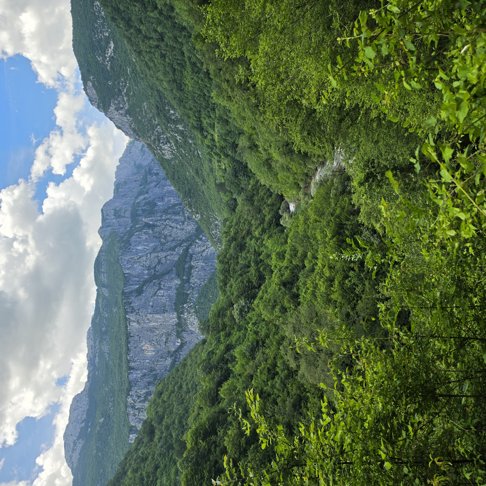 The image shows a lush mountain landscape in Mrtvo Duboko, Montenegro. A towering, rocky mountain with visible gray rock formations occupies the left side of the frame. The mountain slopes are partially covered in dense green vegetation. To the right of the mountain, a valley is filled with a thick forest of vibrant green trees. The sky is partially visible in the upper left corner, featuring a blend of blue sky and fluffy white clouds. The foreground is filled with foliage, suggesting the perspective is from a somewhat obscured vantage point within the forest.