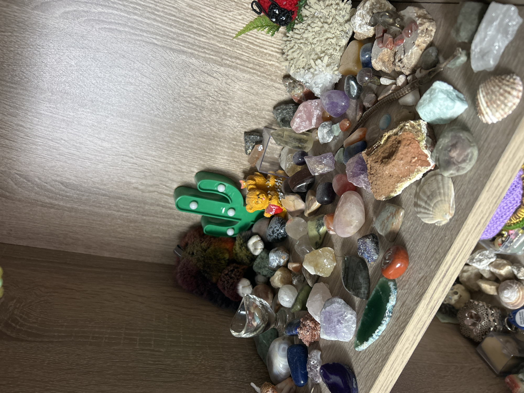 The image shows a collection of objects on a light brown, wood-grain surface. These objects include various types of rocks, minerals, and seashells. There is also a green plastic cactus figurine, a small, fuzzy, multi-colored animal toy, and a small, clear glass object. A ladybug decoration is visible in the upper-left corner.
There is no information in the image to suggest that the photo was taken in Pazardzhik, Bulgaria or any other specific location.