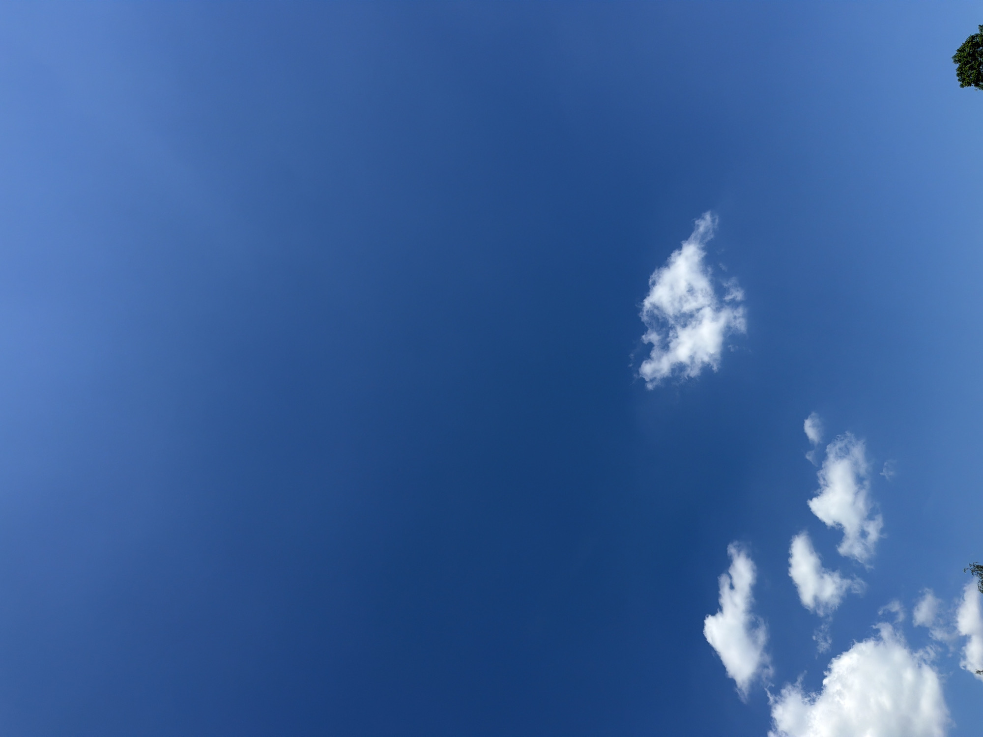 The image shows a clear blue sky with a few wispy white clouds scattered across it. The sky occupies the majority of the frame, with a hint of green foliage visible in the top right and bottom right corners, suggesting the presence of trees. The lighting indicates it is daytime, likely with bright sunshine. The scene is peaceful and serene, with no people or specific objects, focusing solely on the natural elements of the sky and hints of surrounding nature. The vast expanse of blue and the gentle presence of clouds evoke a sense of openness and tranquility. There is no visible text in the image.
