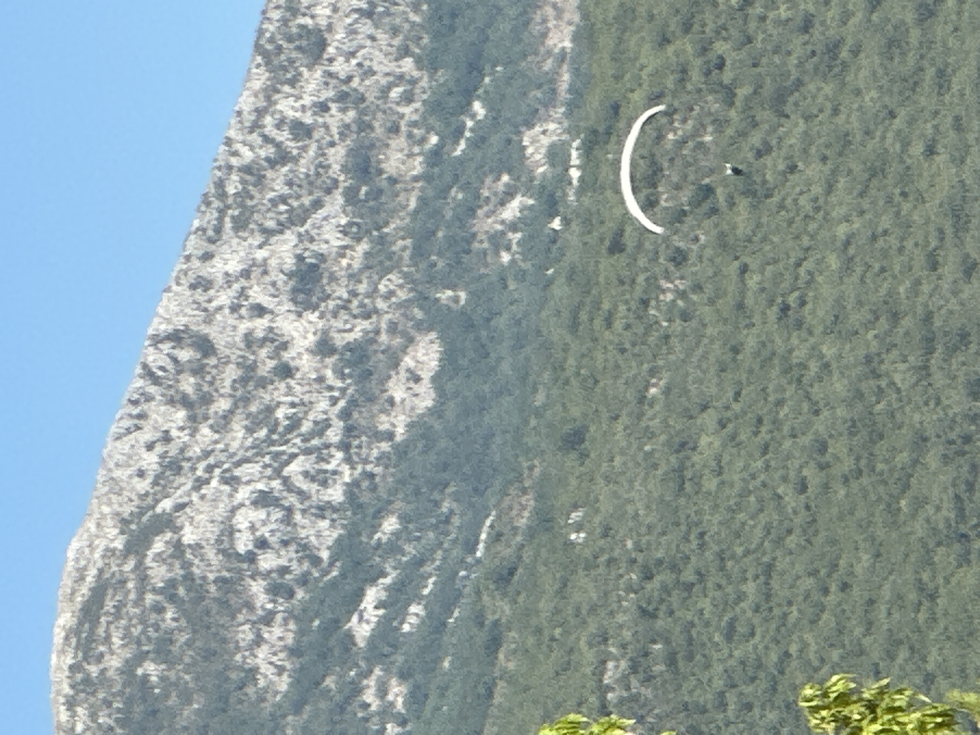 The image depicts a paraglider in mid-flight against a backdrop of a verdant, tree-covered mountainside and a rocky, barren peak above. The sky is a clear, bright blue. The paraglider, with a white wing and a dark-colored person suspended below, is positioned in the lower center of the frame, appearing to descend over the densely forested slope. The rocky mountain in the upper portion of the image shows signs of erosion and sparse vegetation. The overall scene suggests an outdoor recreational activity taking place in a mountainous region. This location is likely in the vicinity of Bečići, Montenegro, known for its scenic coastal mountains and opportunities for adventure sports.