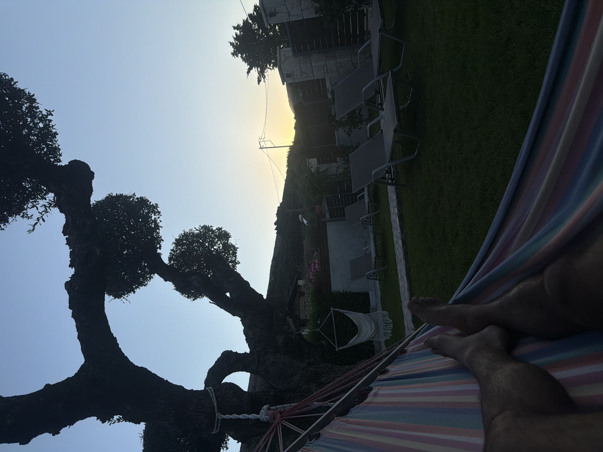 This media file shows a person relaxing in a hammock in what appears to be a backyard or garden area. The person's legs and feet are visible, clad in casual attire. The hammock itself is colorful with striped fabric.
The scene is set outdoors, with a large, gnarled tree silhouette in the foreground, its branches reaching upwards against a clear sky. In the background, there is a building with a stone facade, along with several lounge chairs on a manicured lawn. The sun is low in the sky, casting a warm glow and creating a sunset or sunrise effect. A gentle slope or hill is visible behind the building, covered in greenery. The overall ambiance suggests a peaceful and tranquil moment, possibly a vacation or a quiet evening at home.
The time of day is likely late afternoon or early evening, given the position of the sun and the lighting conditions. The weather appears to be clear and pleasant. While no specific text is visible, the scene conveys a sense of relaxation and enjoyment. The location context points to Laganas Municipal Unit, Greece, which aligns with the Mediterranean-like vegetation and architecture.