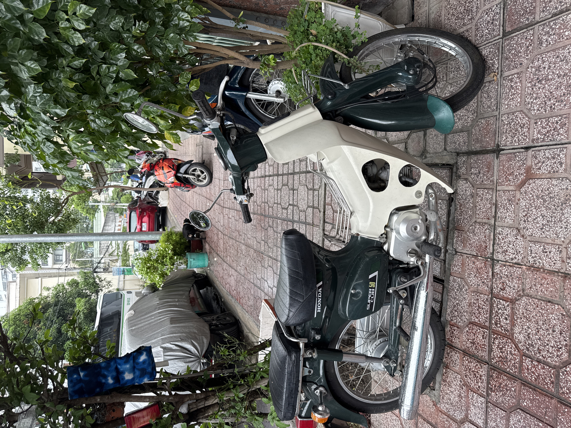 Memory