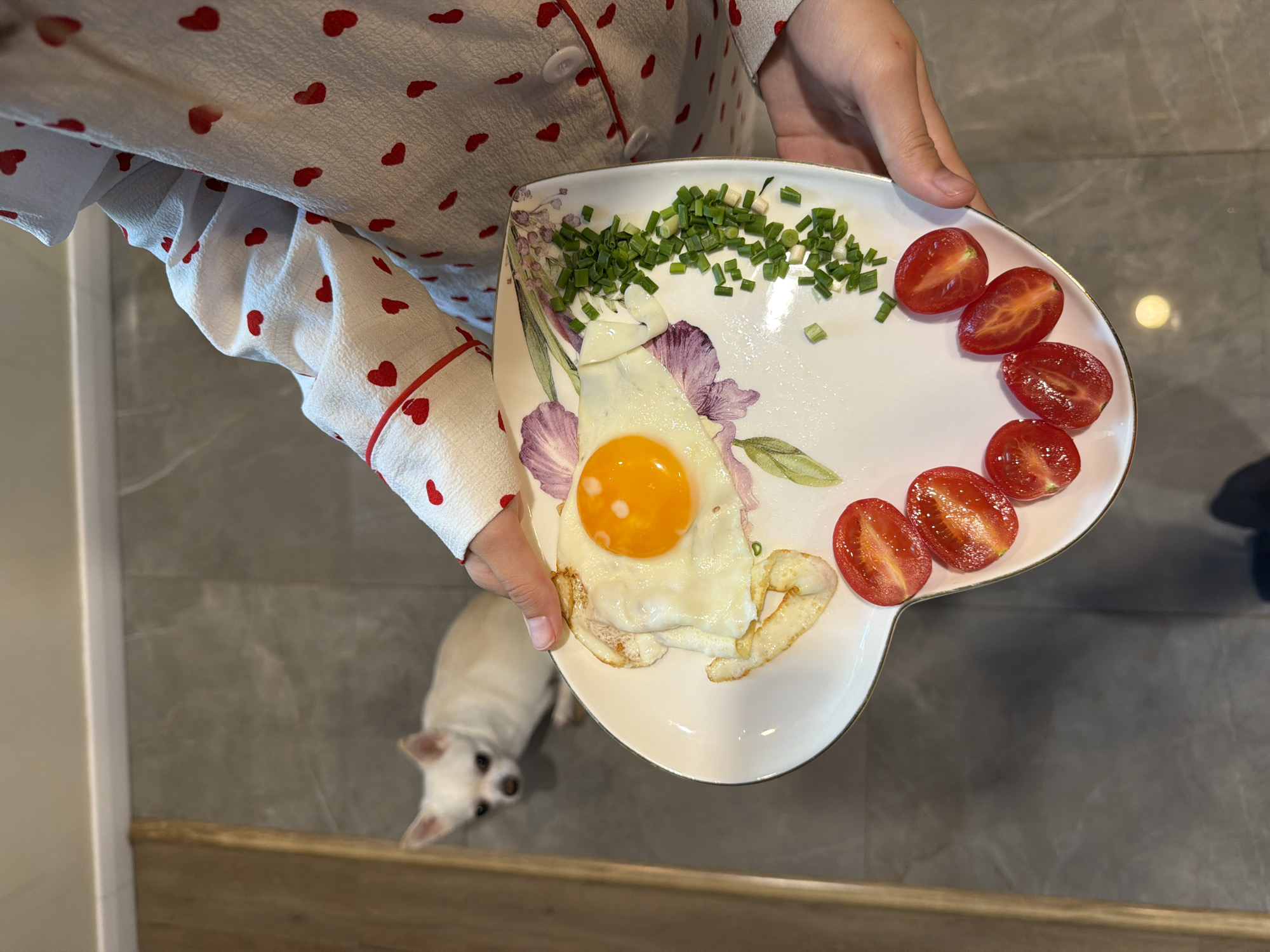 A person in heart-patterned pajamas holds a white plate with a floral design. The plate contains a fried egg, chopped green onions, and halved cherry tomatoes. A small white dog looks up at the plate from below. The scene takes place on a gray tile floor. The location is unknown and cannot be determined to be Birobidzhan, Russia, from the given information.