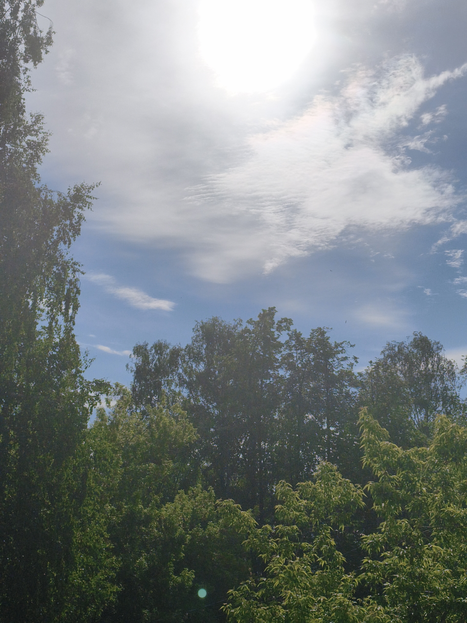 The image shows a view upwards towards a bright, sunlit sky with scattered clouds. The lower portion of the image is filled with the green foliage of trees, partially obscuring the view of the sky. The image was taken in Chaikovsky, Russia.