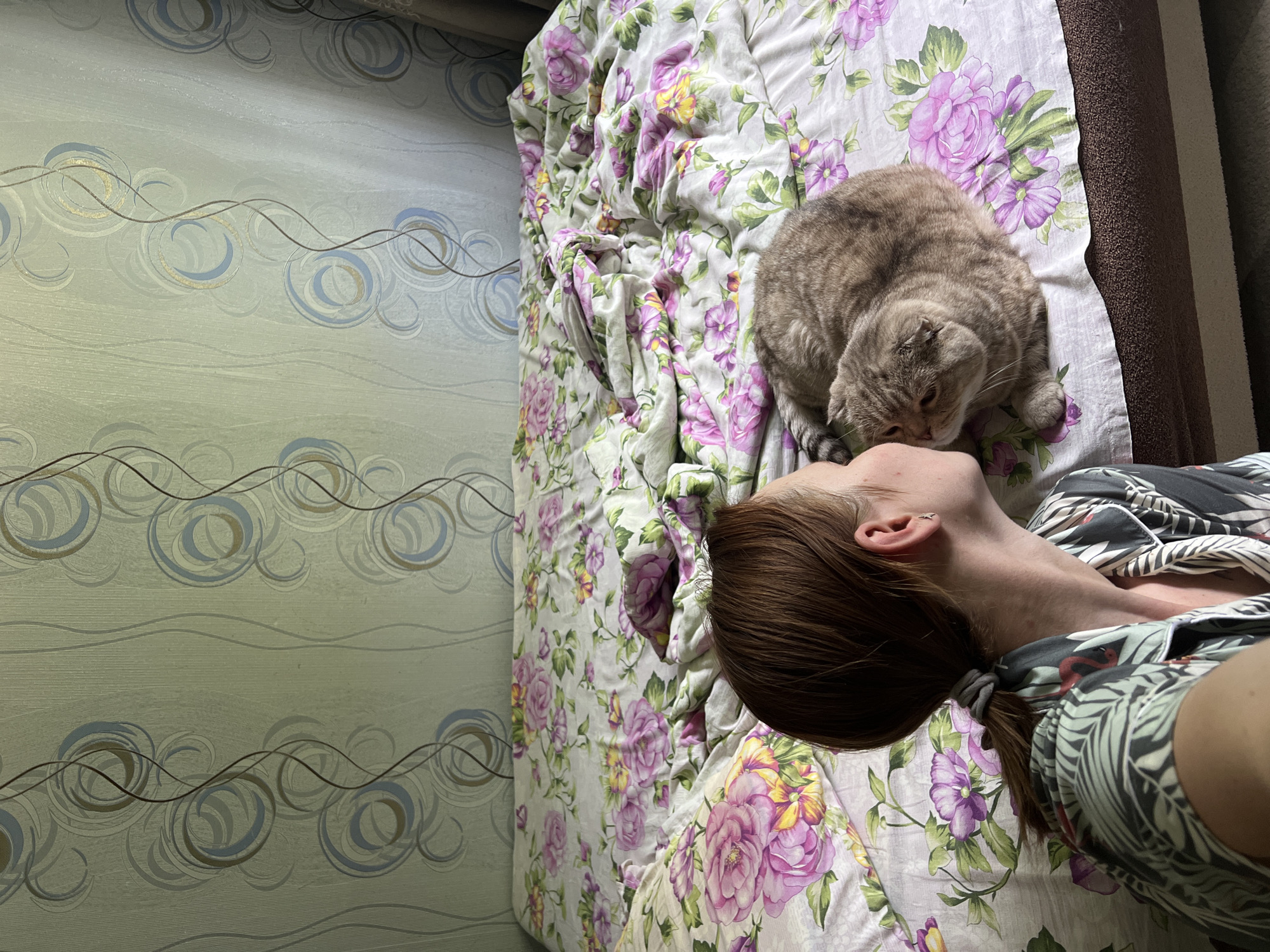 An overhead shot shows a woman kissing a cat on a bed. The woman's back is to the camera, her hair is tied back in a ponytail. The cat is a Scottish Fold, a breed known for its folded ears. The bed is covered with a floral-patterned comforter, with large pink and purple flowers and green leaves. The wallpaper in the background features a swirling pattern of circles and lines in shades of grey, blue, and gold. This appears to be an indoor domestic setting, likely a bedroom, in Chaikovsky, Russia.