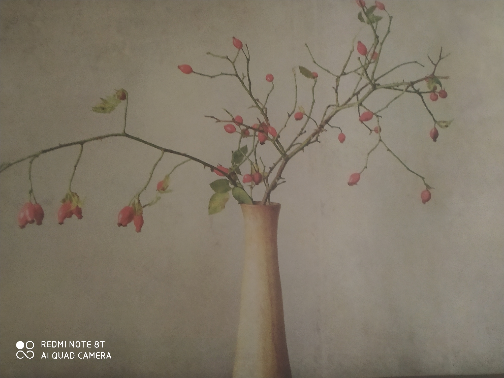 A still life photograph depicts a slender, light brown ceramic vase holding a branch with several small, red berries and a few green leaves. The branch extends upwards and to the left from the vase. The background is a textured, mottled light gray, creating a soft, diffused atmosphere. The lighting is even, with no harsh shadows. In the bottom left corner, a watermark reads "REDMI NOTE 8T AI QUAD CAMERA".