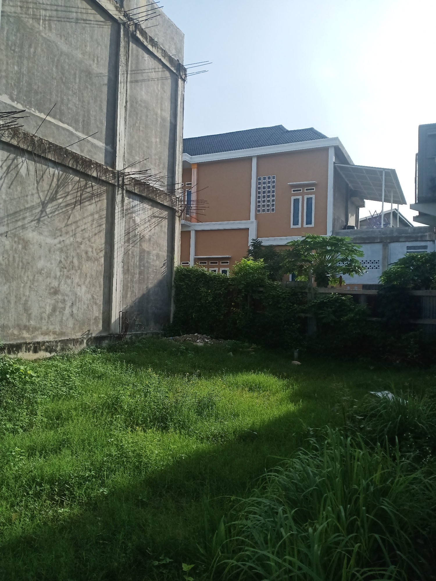 The image captures a construction site and adjacent residential properties in Lhokseumawe, Indonesia, under a clear sky. In the foreground, a patch of overgrown green grass occupies the lower half of the frame. To the left, a partially constructed building with a grey concrete exterior and exposed rebar dominates the scene. The building's wall casts a shadow onto the grassy area. In the mid-ground, a completed, two-story house with an orange facade and a dark tiled roof stands behind a dense green hedge. This house features white framed windows, including a grid pattern on the upper floor. Further to the right, the scene is bordered by a corrugated metal fence, partially obscured by vegetation. The overall impression is one of ongoing development interspersed with established residential areas.